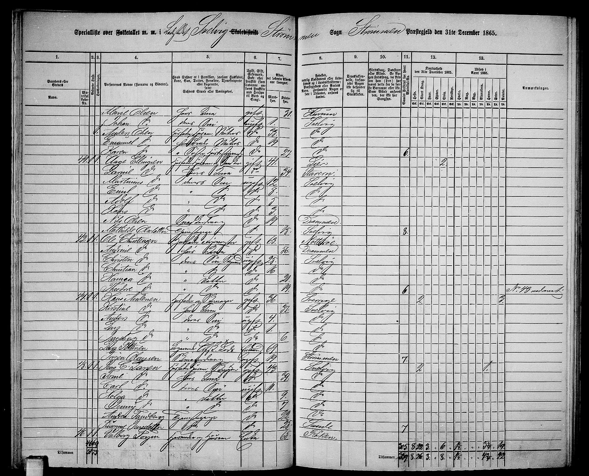 RA, 1865 census for Strømm, 1865, p. 71