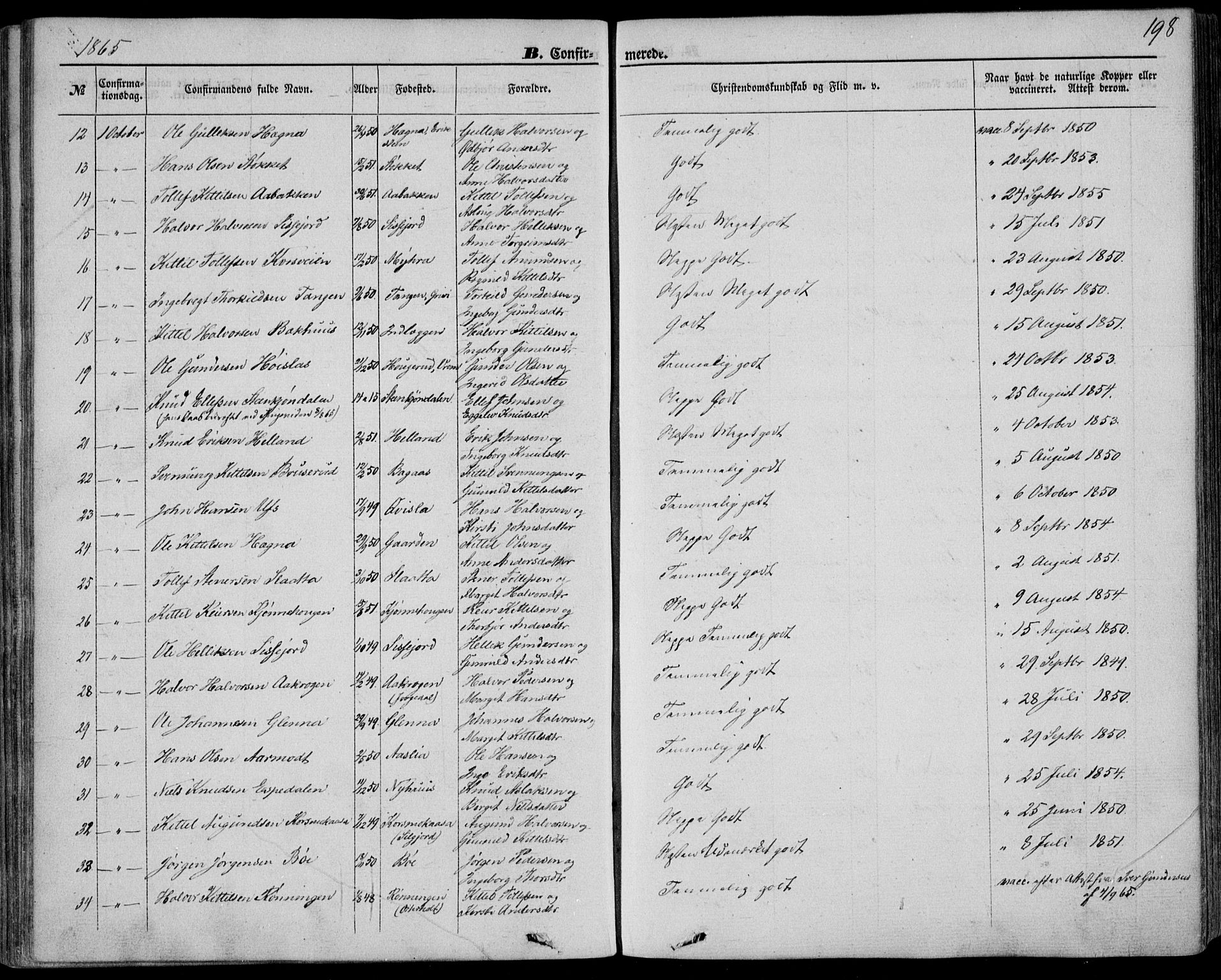 Bø kirkebøker, SAKO/A-257/F/Fa/L0009: Parish register (official) no. 9, 1862-1879, p. 198