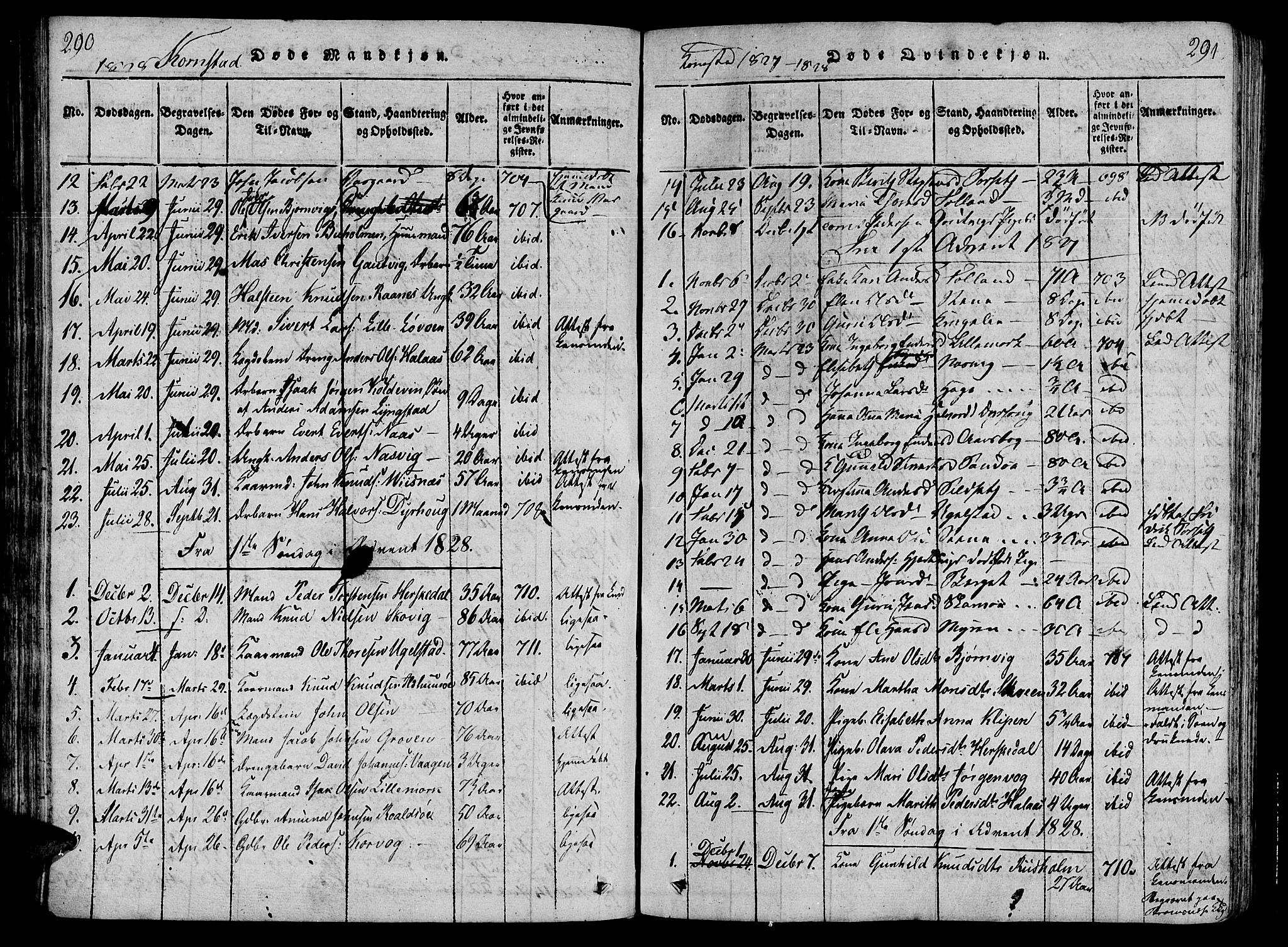 Ministerialprotokoller, klokkerbøker og fødselsregistre - Møre og Romsdal, AV/SAT-A-1454/568/L0800: Parish register (official) no. 568A09 /3, 1820-1830, p. 290-291