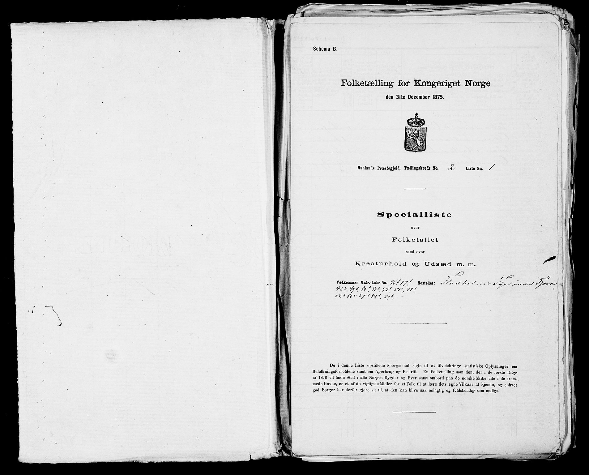 SAST, 1875 census for 1124P Håland, 1875, p. 231