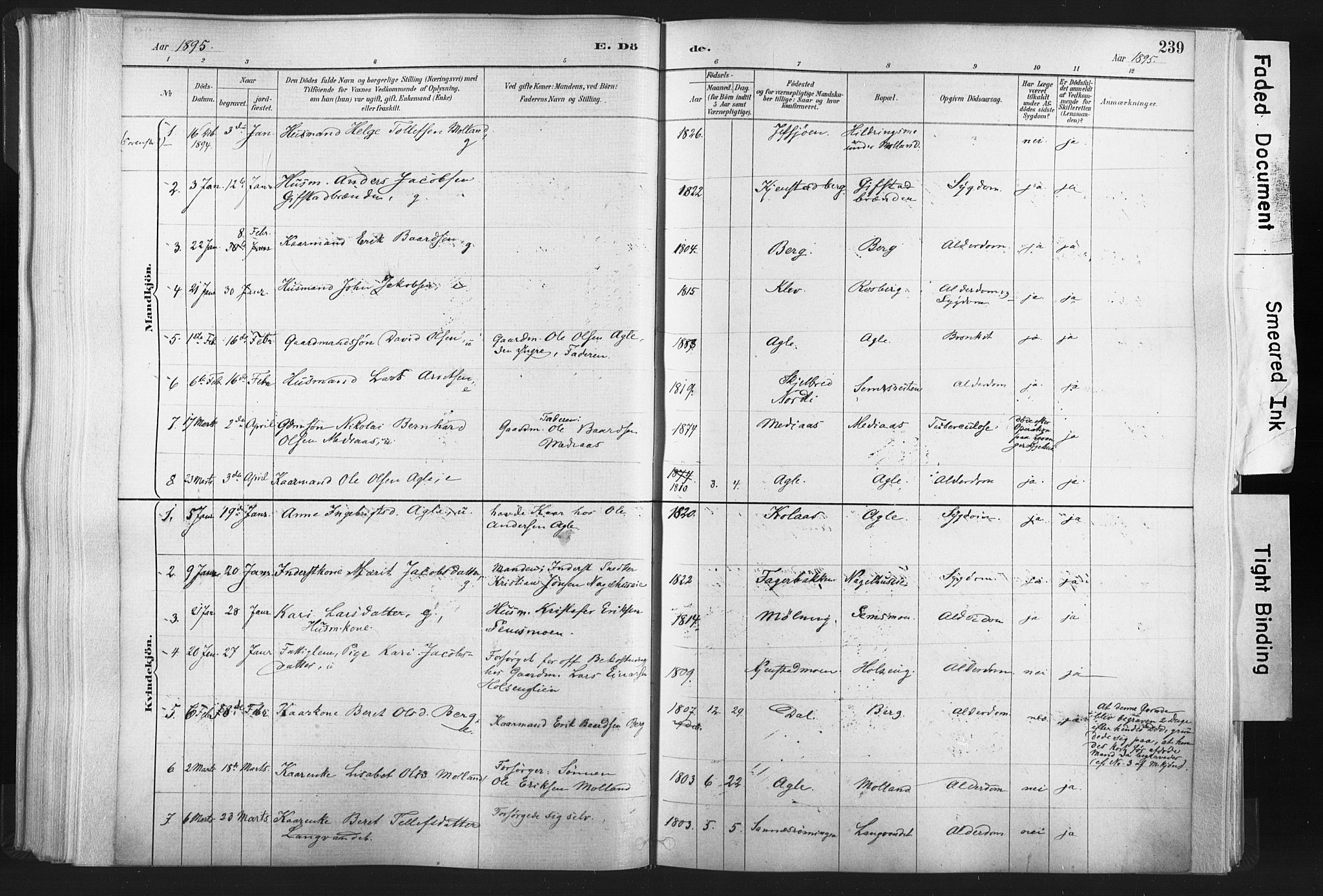 Ministerialprotokoller, klokkerbøker og fødselsregistre - Nord-Trøndelag, SAT/A-1458/749/L0474: Parish register (official) no. 749A08, 1887-1903, p. 239