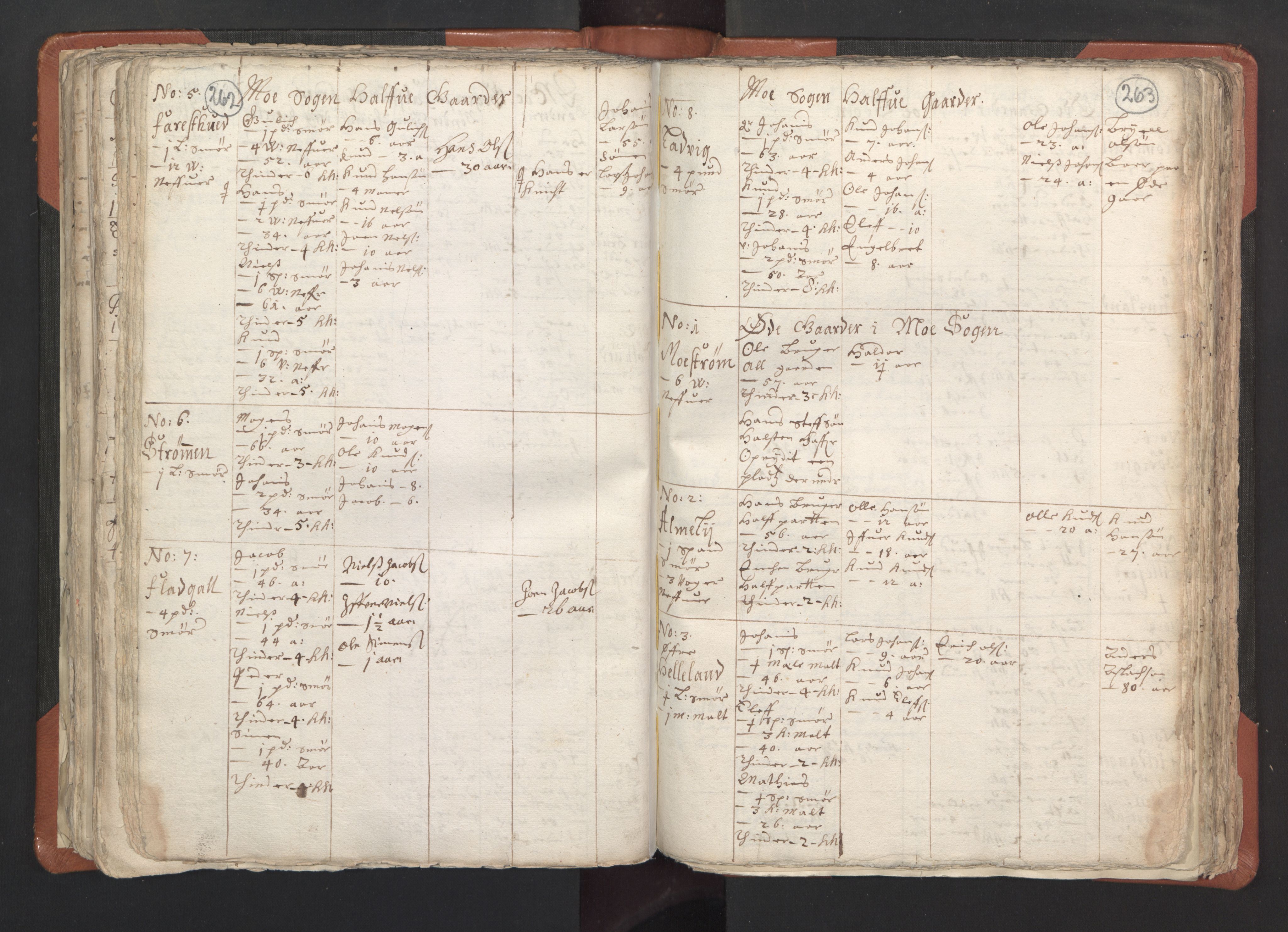 RA, Vicar's Census 1664-1666, no. 22: Nordhordland deanery, 1664-1666, p. 262-263