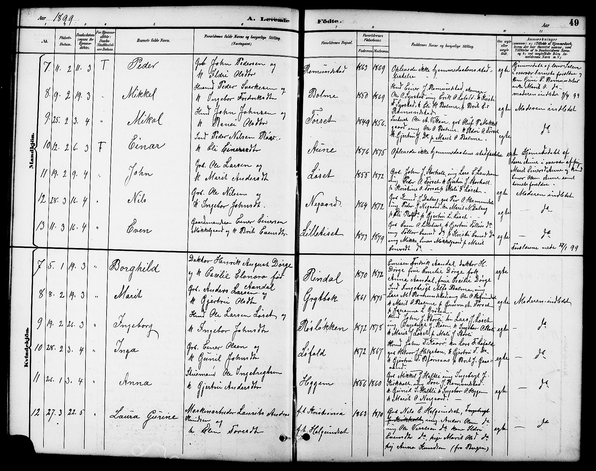 Ministerialprotokoller, klokkerbøker og fødselsregistre - Møre og Romsdal, SAT/A-1454/598/L1078: Parish register (copy) no. 598C03, 1892-1909, p. 49