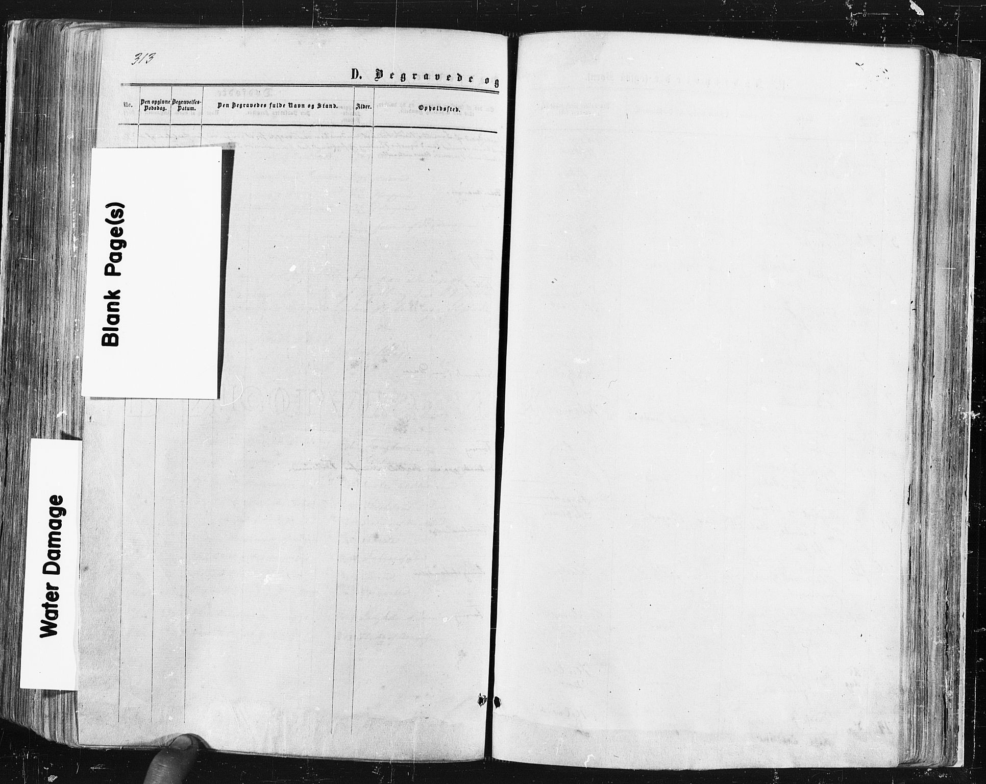 Trøgstad prestekontor Kirkebøker, SAO/A-10925/F/Fa/L0009: Parish register (official) no. I 9, 1865-1877, p. 313
