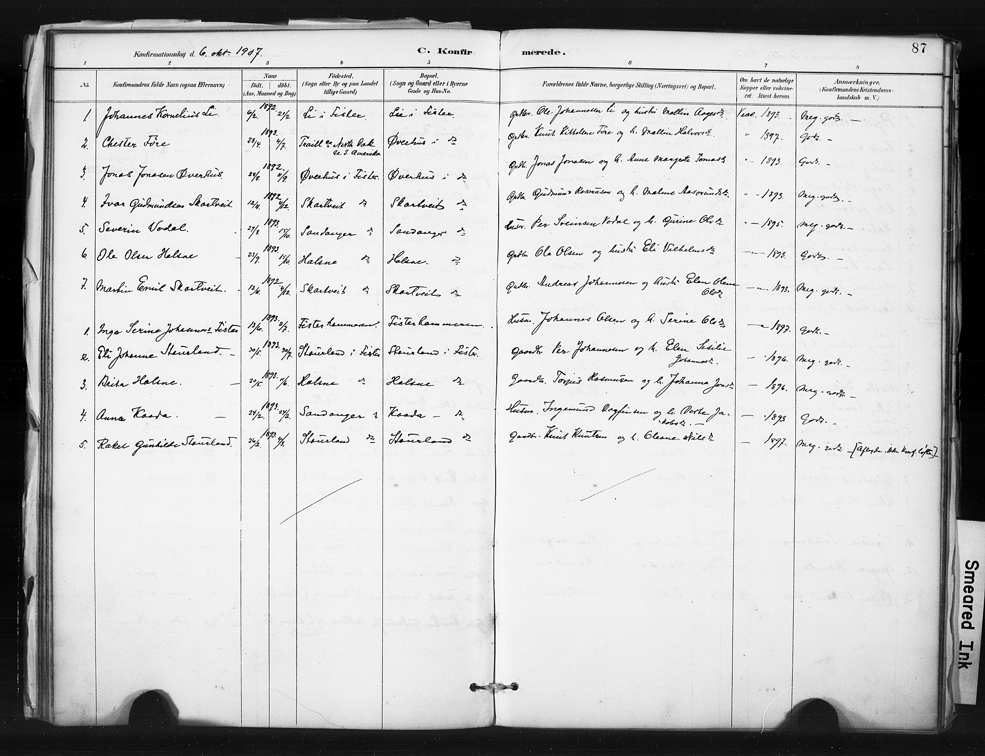 Hjelmeland sokneprestkontor, SAST/A-101843/01/IV/L0015: Parish register (official) no. A 15, 1887-1910, p. 87
