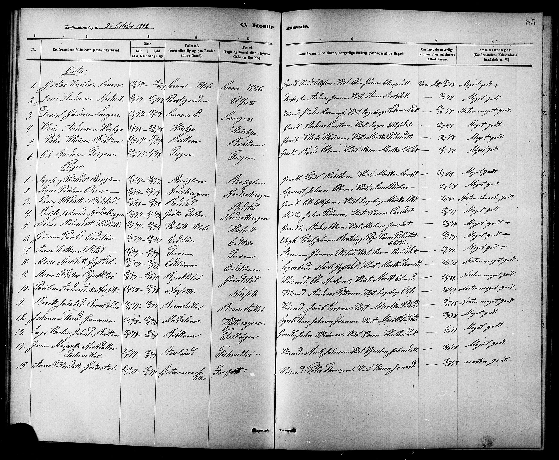 Ministerialprotokoller, klokkerbøker og fødselsregistre - Sør-Trøndelag, SAT/A-1456/618/L0452: Parish register (copy) no. 618C03, 1884-1906, p. 85