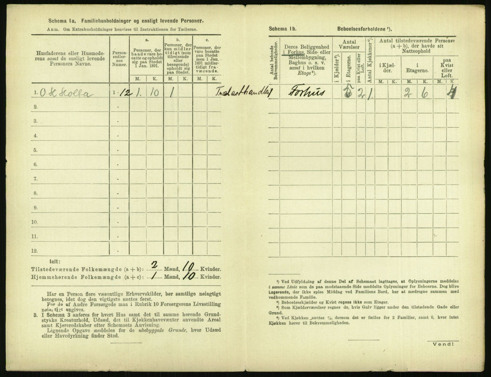 RA, 1891 census for 0806 Skien, 1891, p. 1371