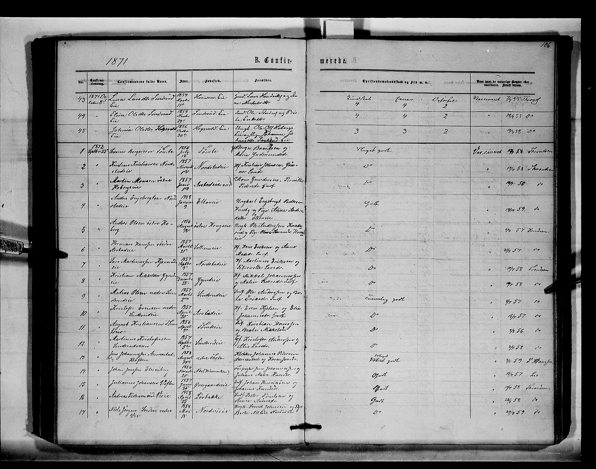 Stange prestekontor, SAH/PREST-002/K/L0015: Parish register (official) no. 15, 1862-1879, p. 106