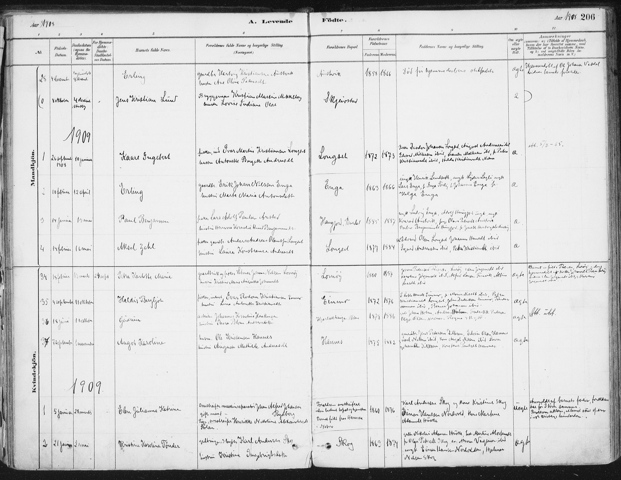 Ministerialprotokoller, klokkerbøker og fødselsregistre - Nordland, AV/SAT-A-1459/838/L0552: Parish register (official) no. 838A10, 1880-1910, p. 206