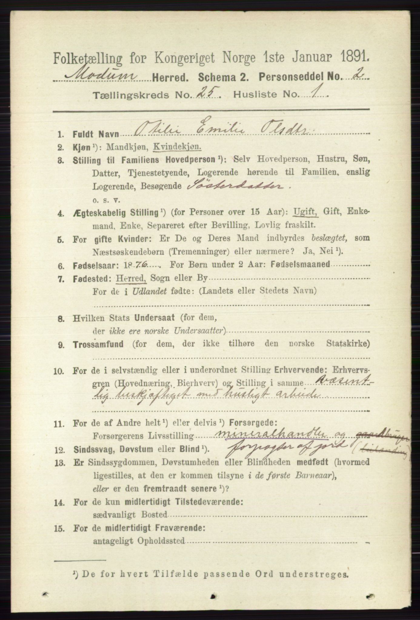 RA, 1891 census for 0623 Modum, 1891, p. 9045