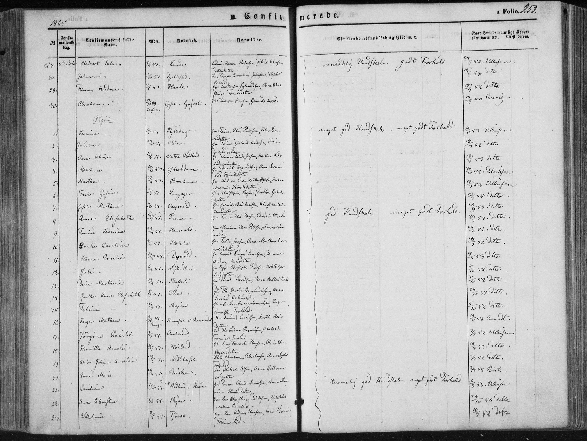 Lista sokneprestkontor, AV/SAK-1111-0027/F/Fa/L0011: Parish register (official) no. A 11, 1861-1878, p. 253