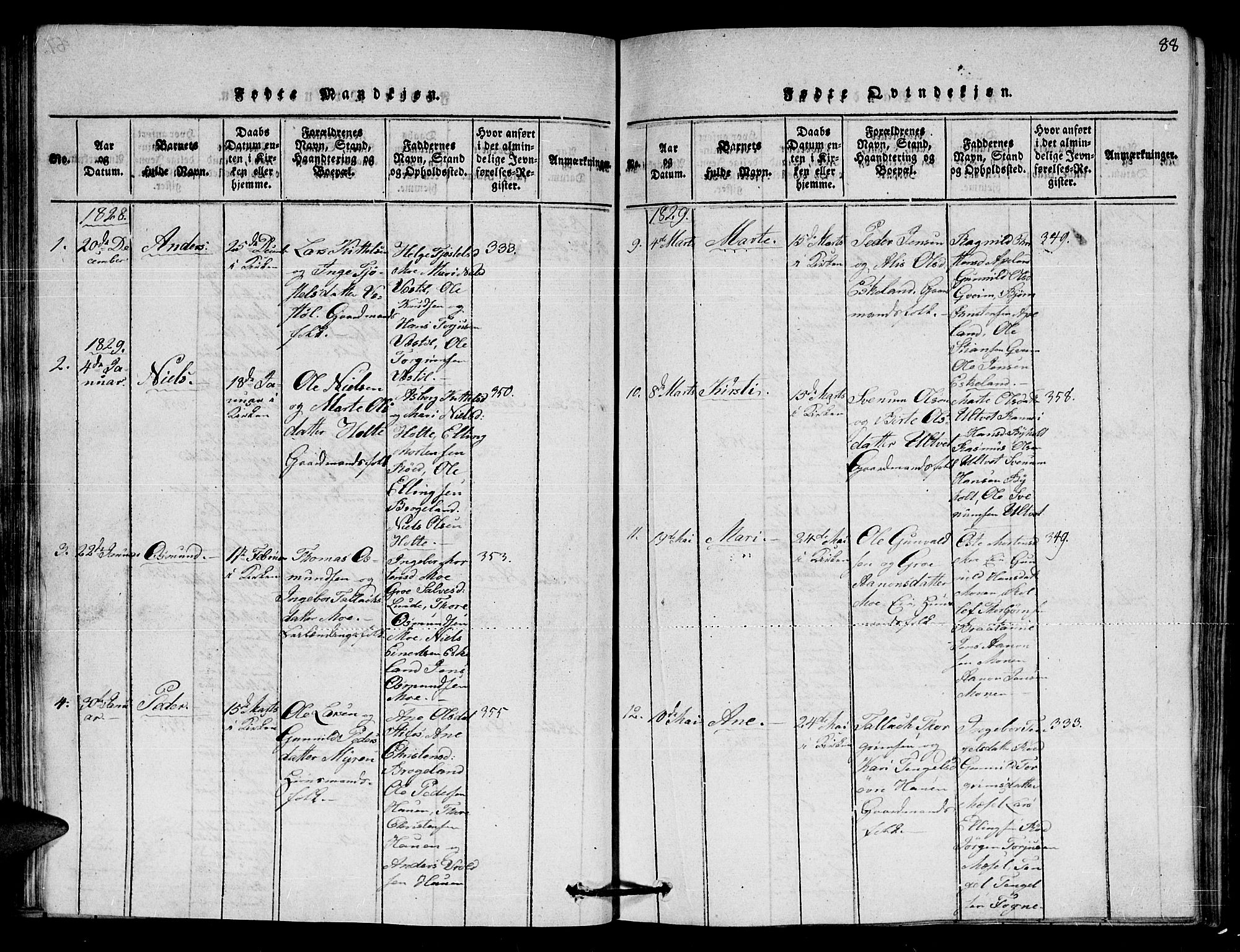 Gjerstad sokneprestkontor, AV/SAK-1111-0014/F/Fa/Faa/L0004: Parish register (official) no. A 4, 1816-1829, p. 88