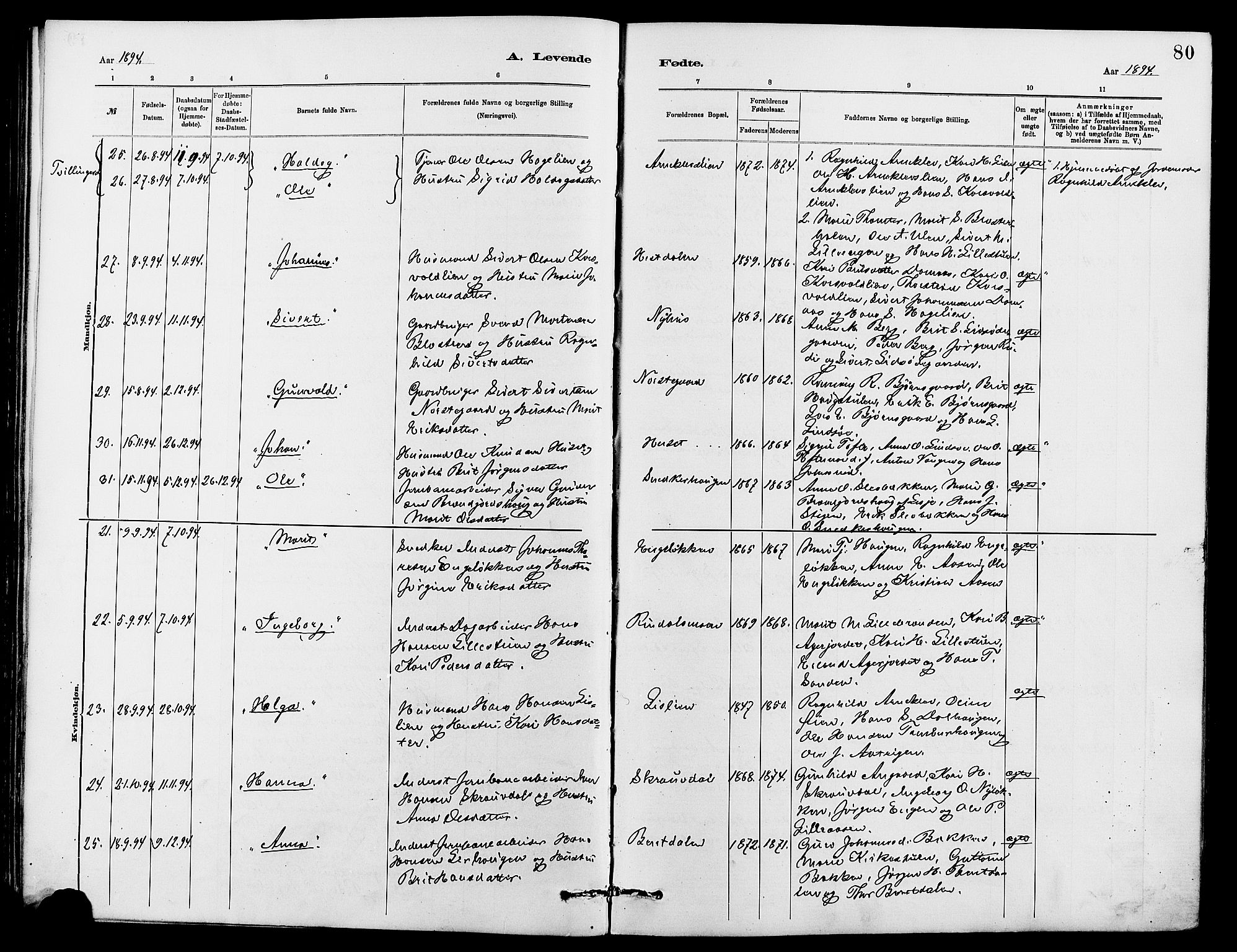 Dovre prestekontor, SAH/PREST-066/H/Ha/Hab/L0002: Parish register (copy) no. 2, 1881-1907, p. 80