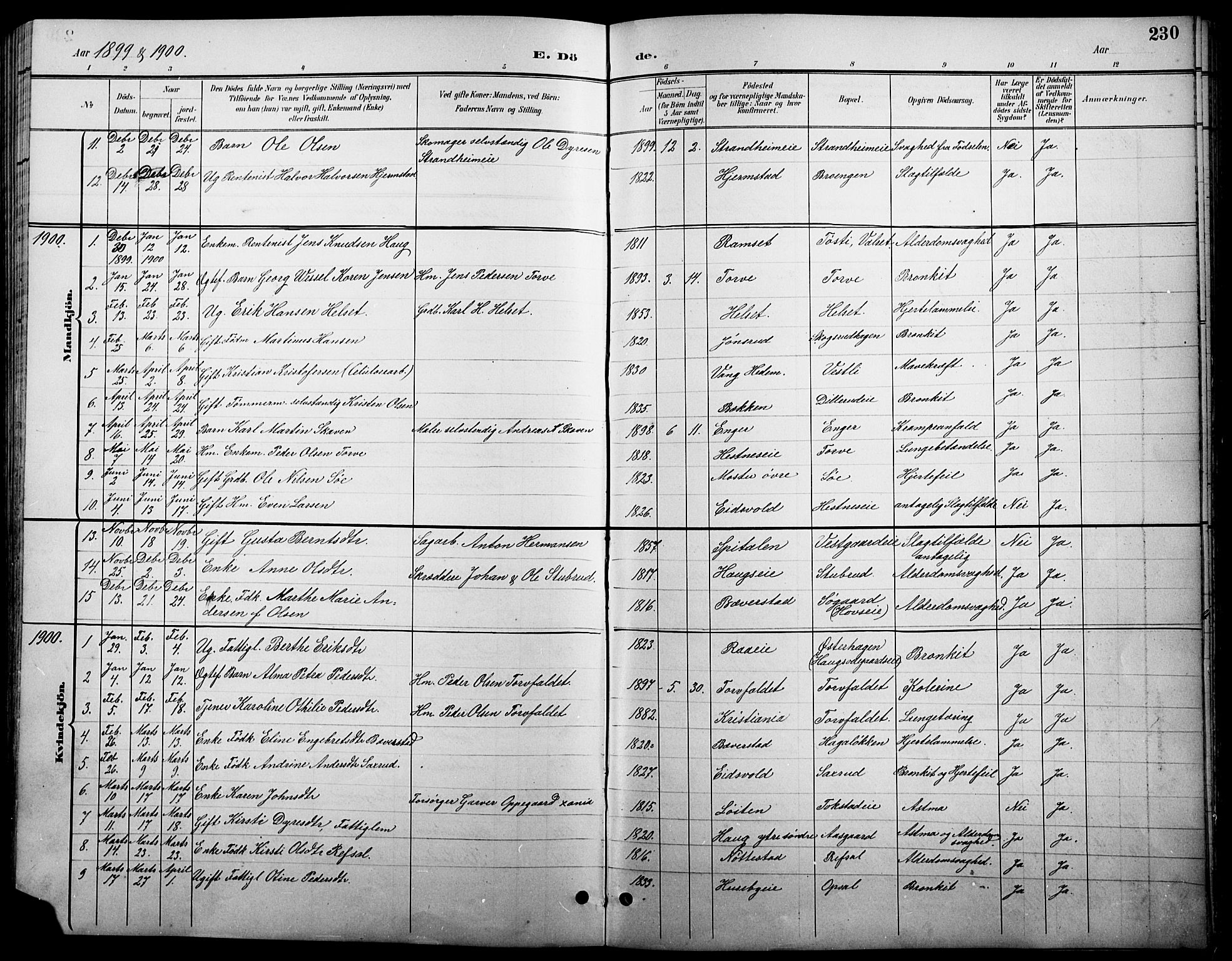 Stange prestekontor, SAH/PREST-002/L/L0011: Parish register (copy) no. 11, 1895-1917, p. 230
