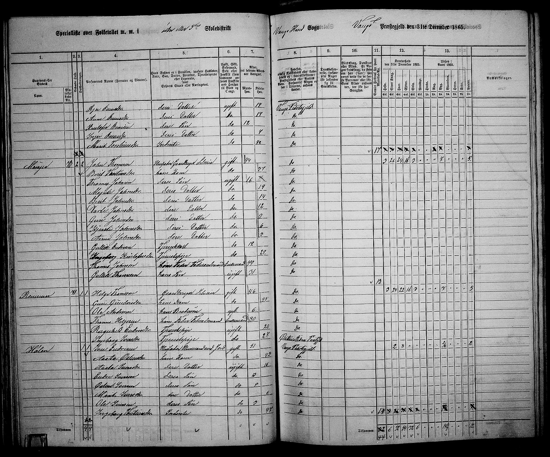 RA, 1865 census for Vang, 1865, p. 54