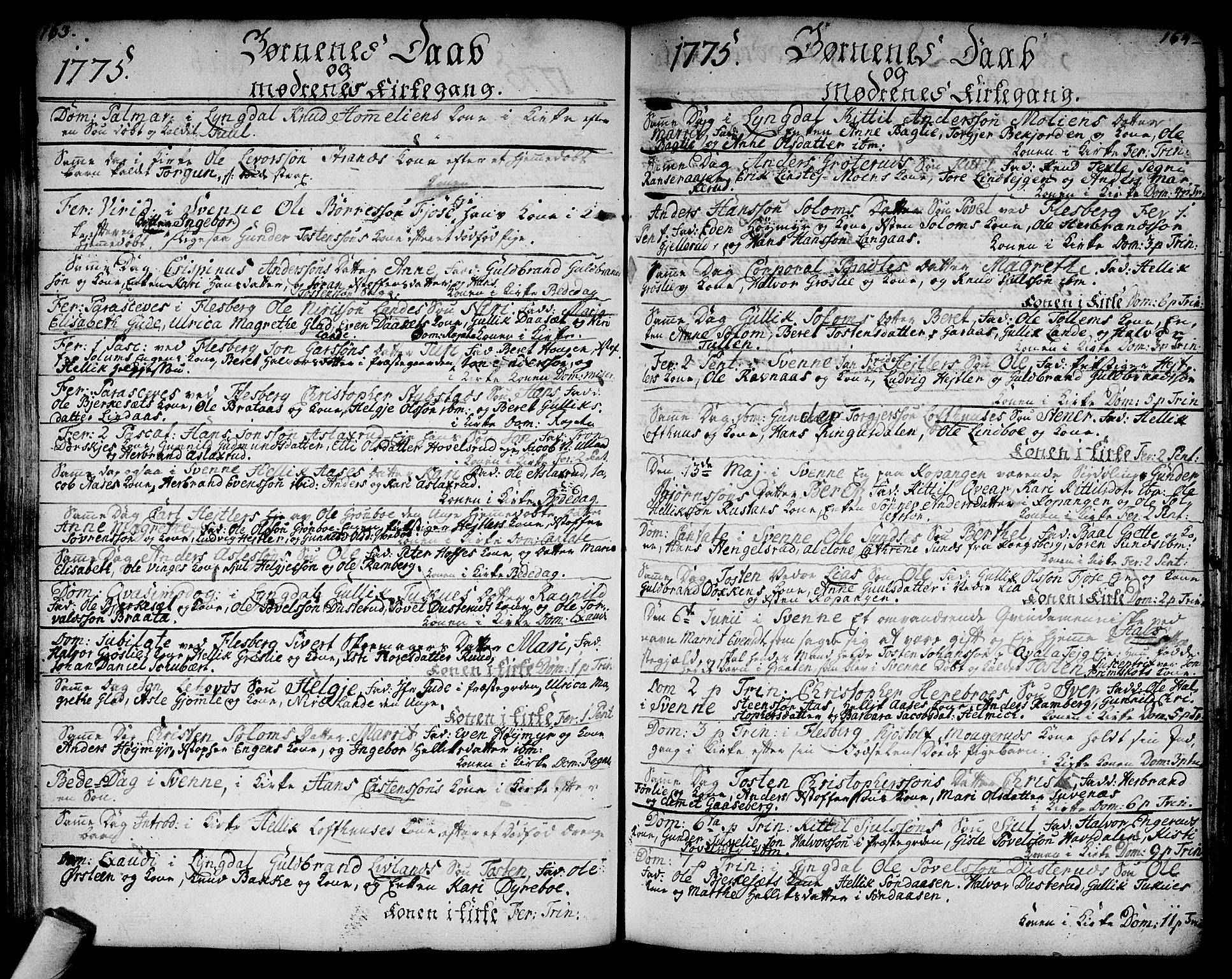 Flesberg kirkebøker, SAKO/A-18/F/Fa/L0003: Parish register (official) no. I 3, 1748-1790, p. 163-164