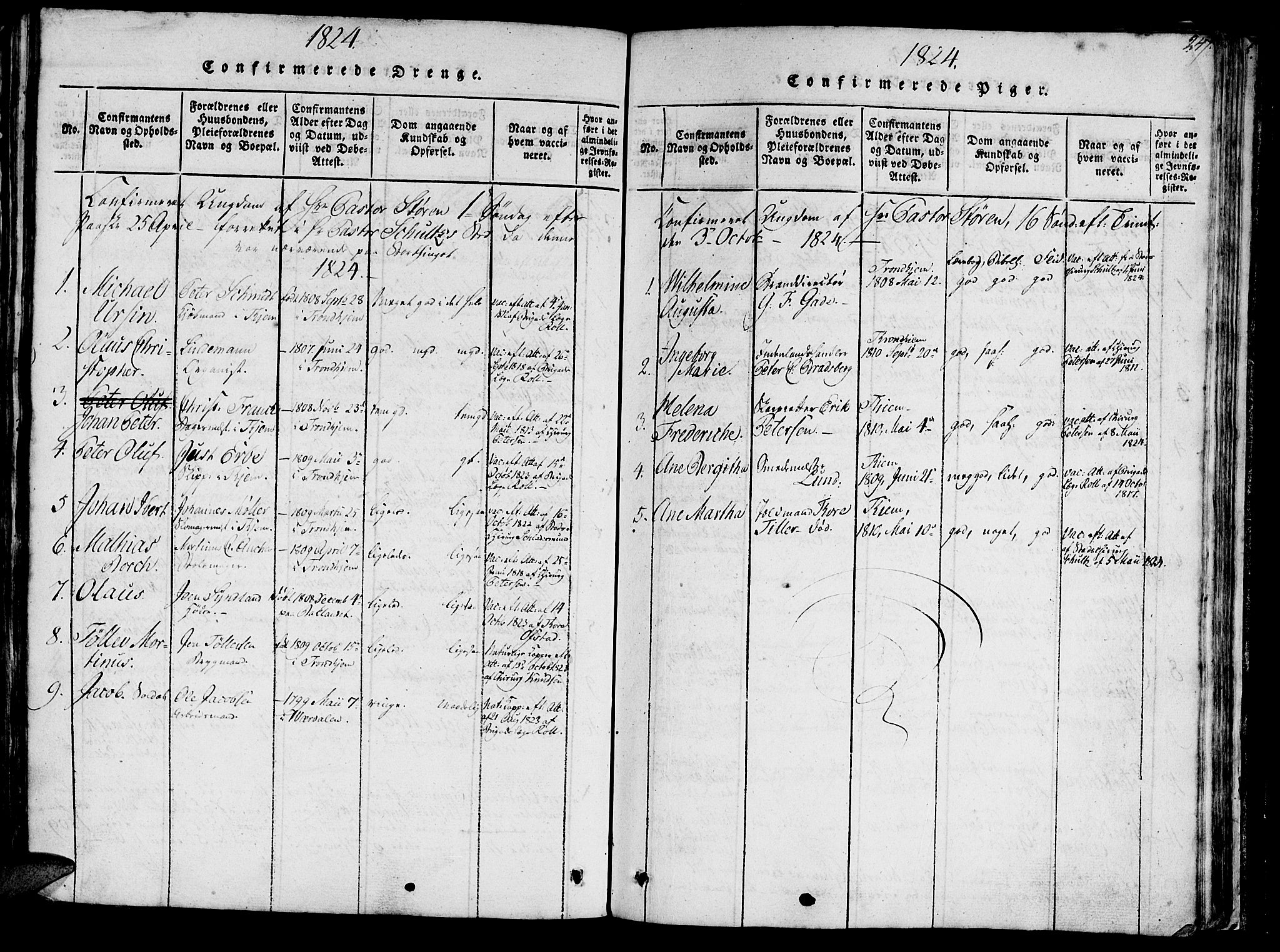 Ministerialprotokoller, klokkerbøker og fødselsregistre - Sør-Trøndelag, SAT/A-1456/602/L0135: Parish register (copy) no. 602C03, 1815-1832, p. 247