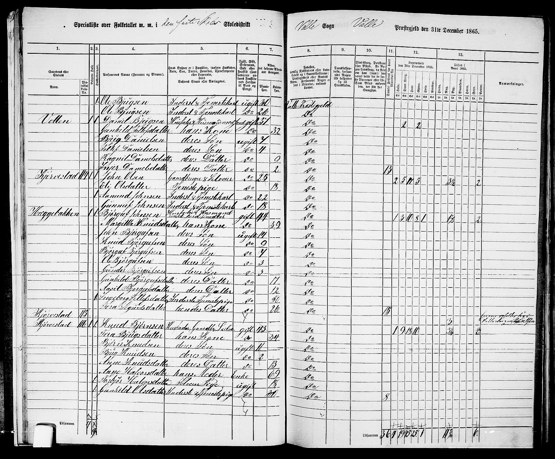 RA, 1865 census for Valle, 1865, p. 19