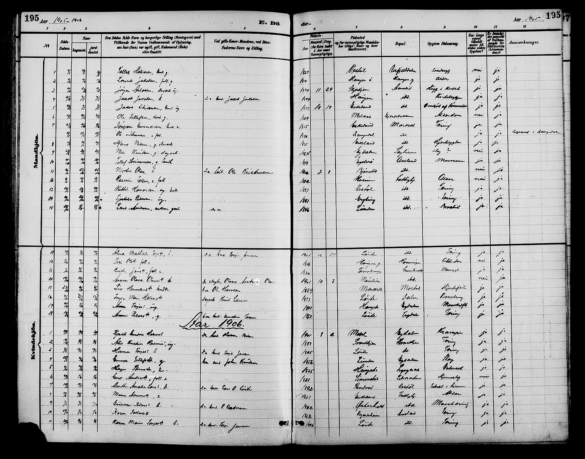 Gjerstad sokneprestkontor, AV/SAK-1111-0014/F/Fb/Fba/L0007: Parish register (copy) no. B 7, 1891-1908, p. 195