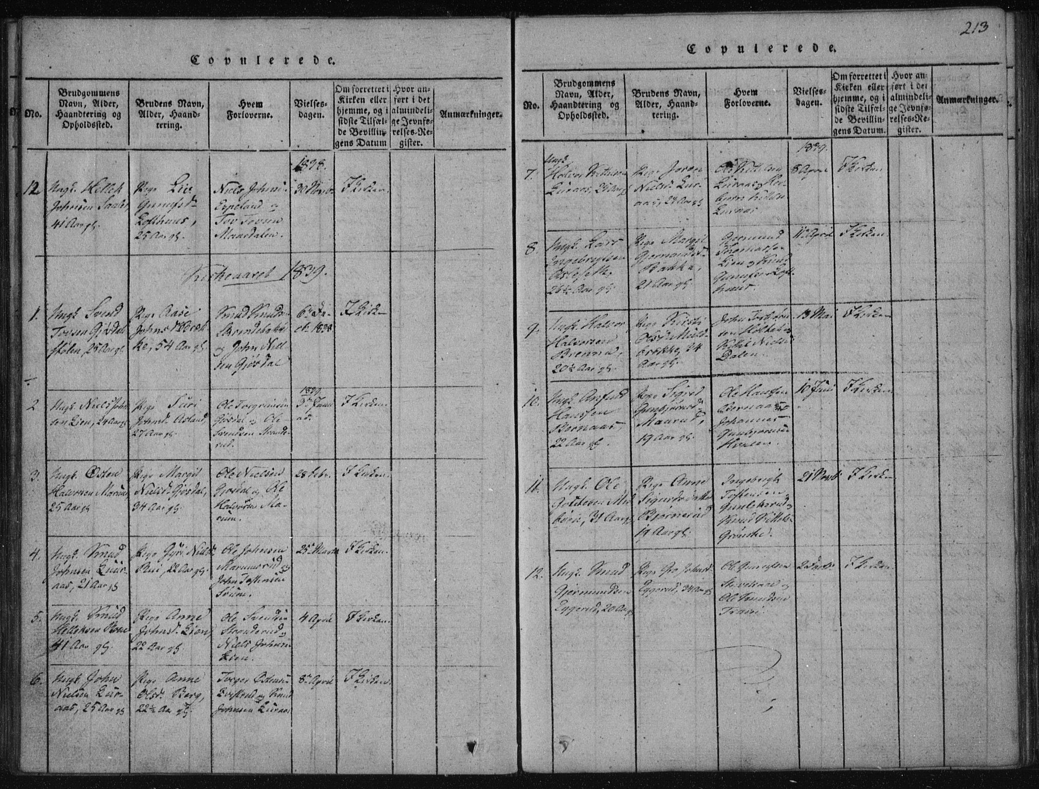 Tinn kirkebøker, AV/SAKO-A-308/F/Fa/L0004: Parish register (official) no. I 4, 1815-1843, p. 212b-213a