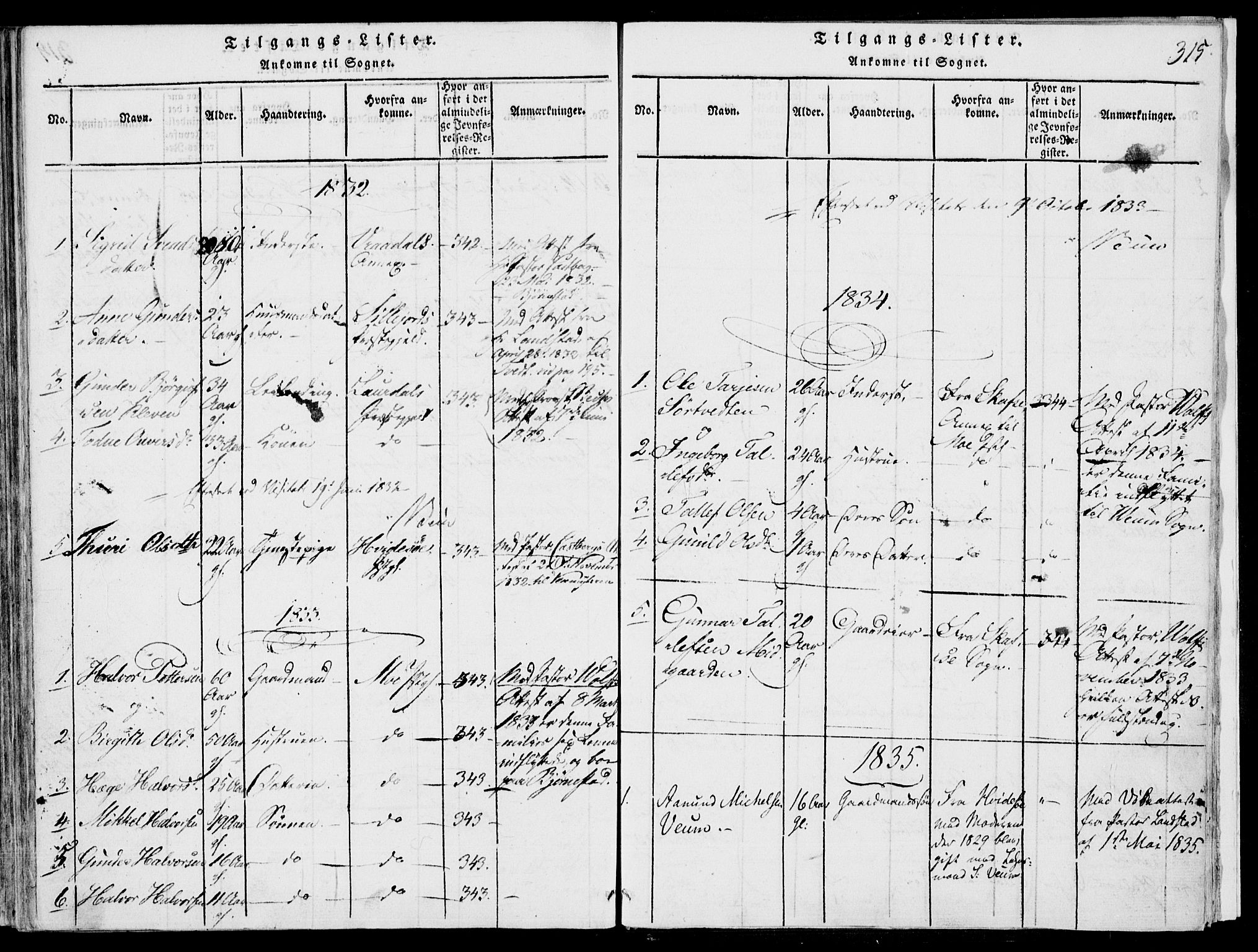 Fyresdal kirkebøker, SAKO/A-263/F/Fb/L0001: Parish register (official) no. II 1, 1815-1854, p. 315