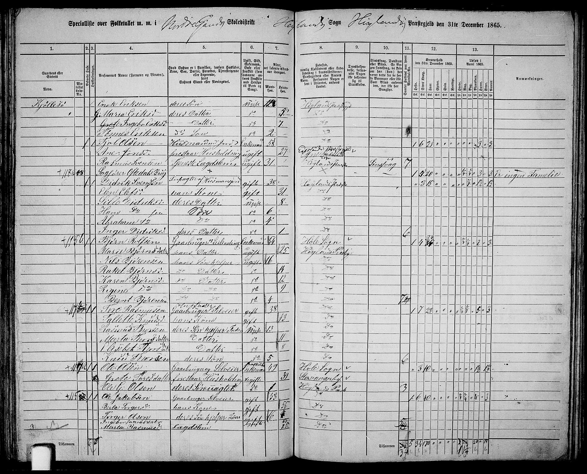 RA, 1865 census for Høyland, 1865, p. 88