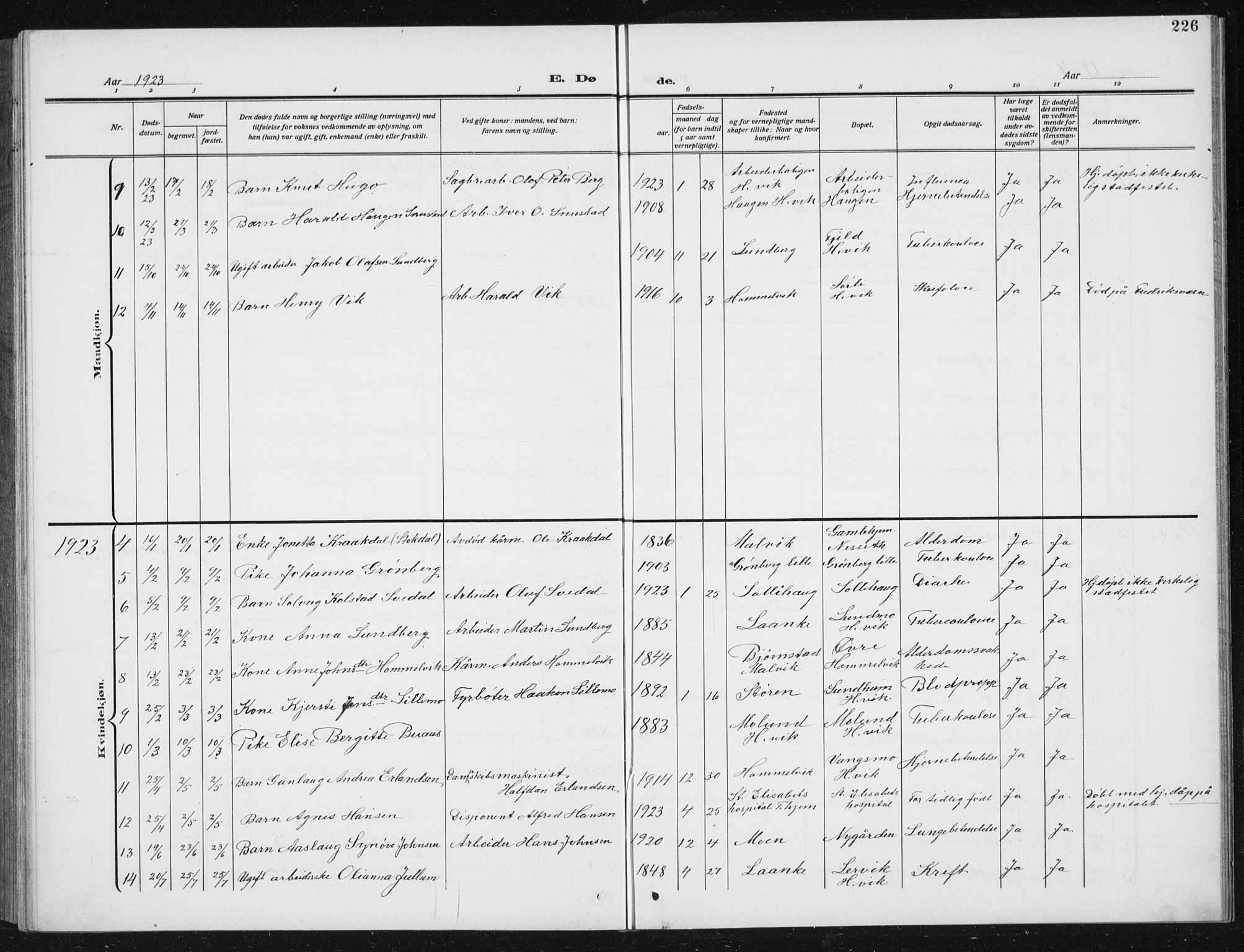 Ministerialprotokoller, klokkerbøker og fødselsregistre - Sør-Trøndelag, SAT/A-1456/617/L0431: Parish register (copy) no. 617C02, 1910-1936, p. 226