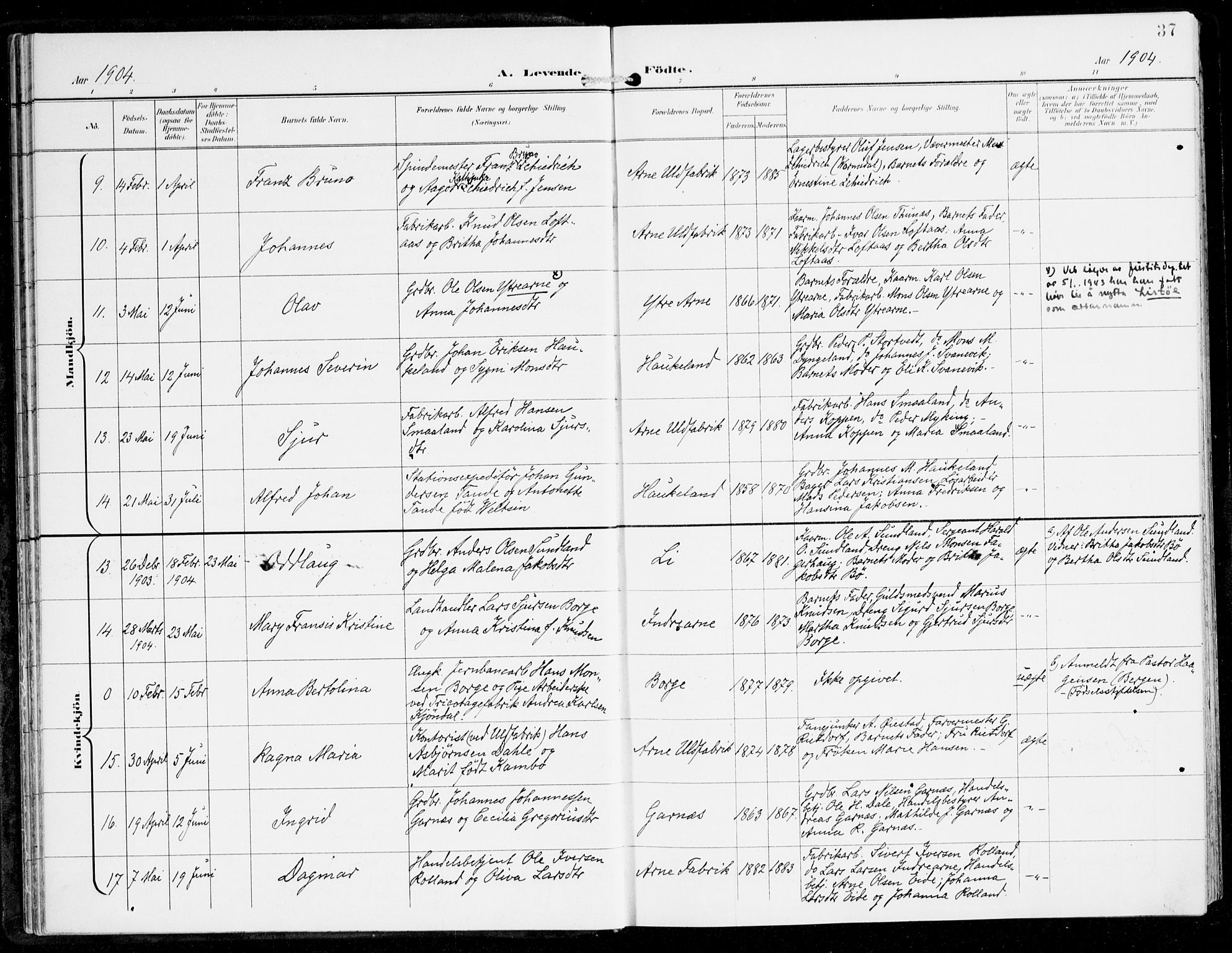 Haus sokneprestembete, AV/SAB-A-75601/H/Haa: Parish register (official) no. D 2, 1899-1912, p. 37