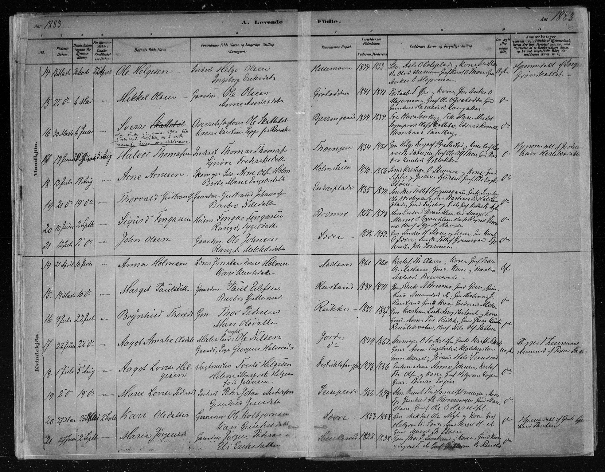 Nes kirkebøker, AV/SAKO-A-236/F/Fa/L0011: Parish register (official) no. 11, 1881-1912, p. 16