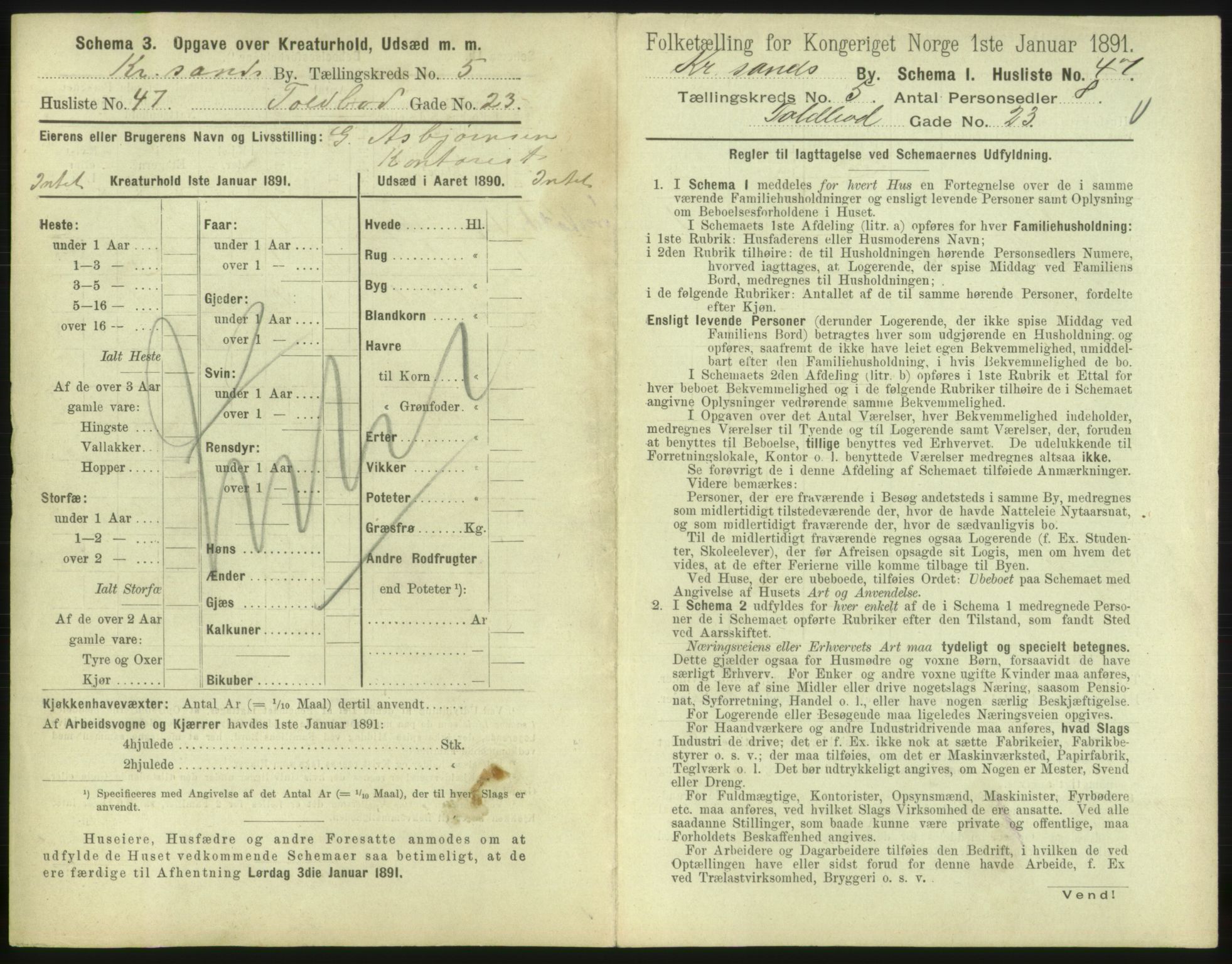 RA, 1891 census for 1001 Kristiansand, 1891, p. 518