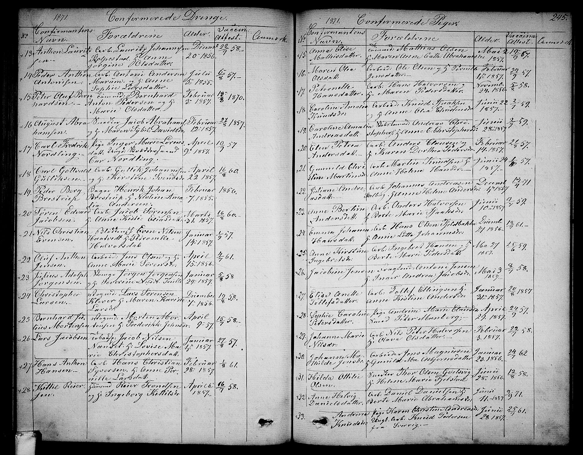 Larvik kirkebøker, SAKO/A-352/G/Ga/L0004: Parish register (copy) no. I 4, 1871-1888, p. 245