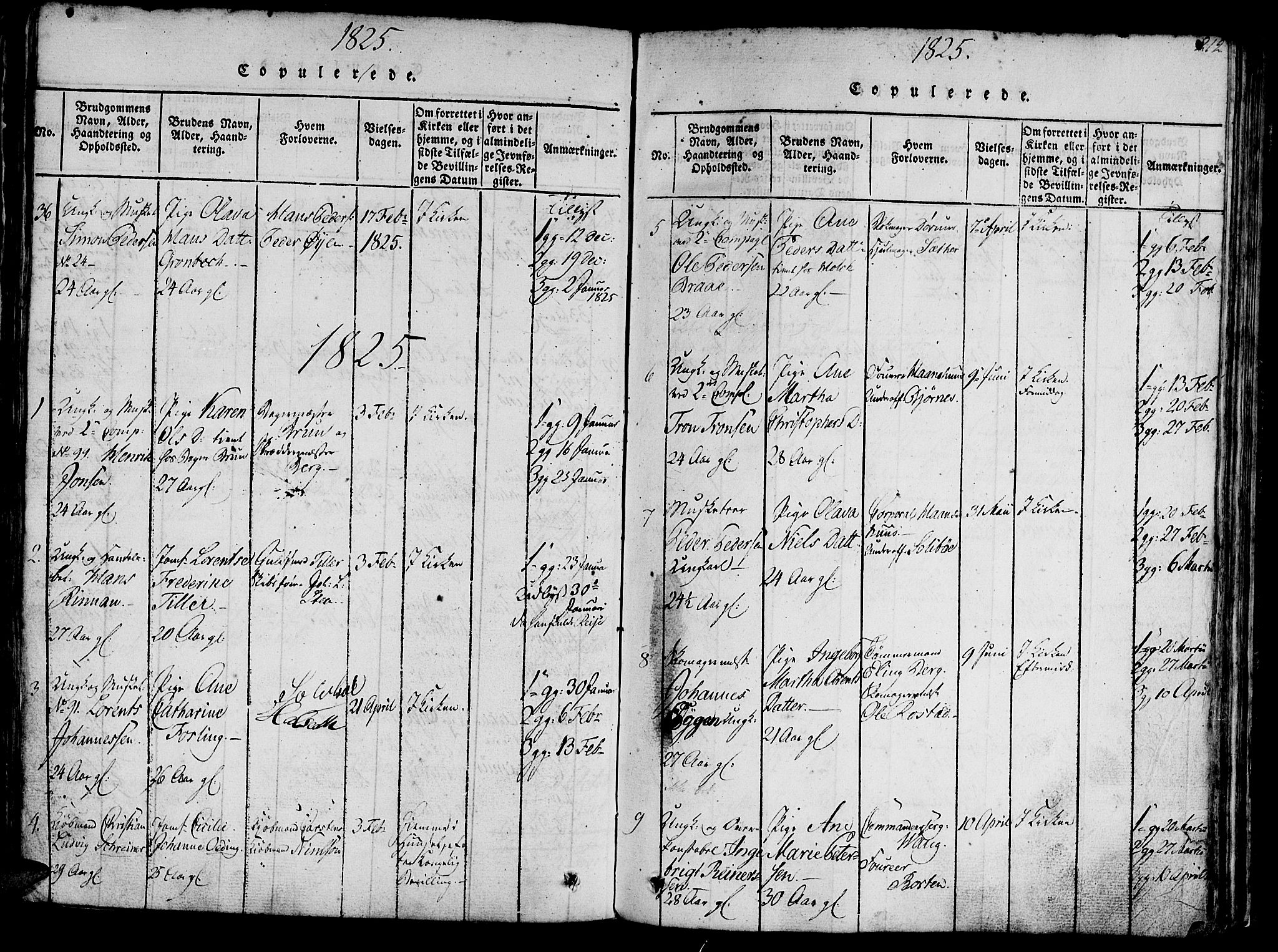 Ministerialprotokoller, klokkerbøker og fødselsregistre - Sør-Trøndelag, SAT/A-1456/602/L0135: Parish register (copy) no. 602C03, 1815-1832, p. 212