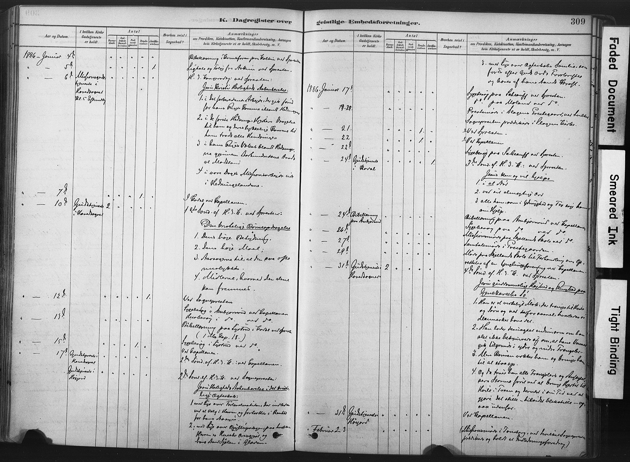 Andebu kirkebøker, SAKO/A-336/F/Fa/L0007: Parish register (official) no. 7, 1878-1899, p. 309