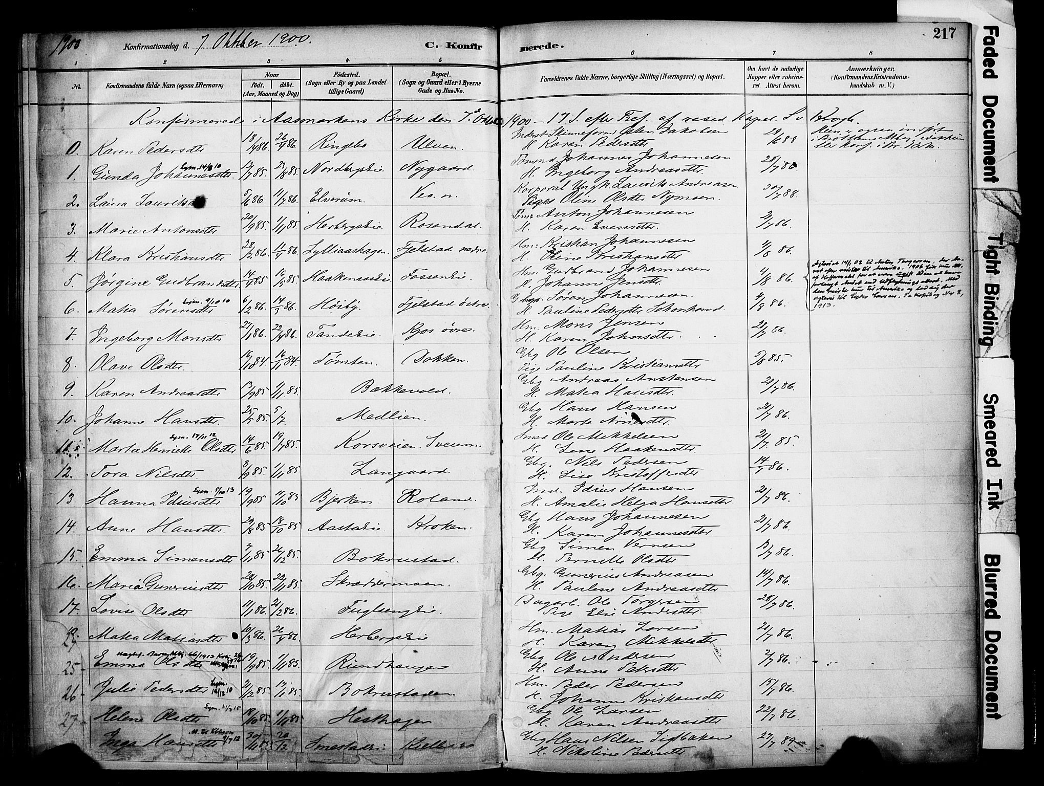 Ringsaker prestekontor, AV/SAH-PREST-014/K/Ka/L0017: Parish register (official) no. 17, 1891-1902, p. 217