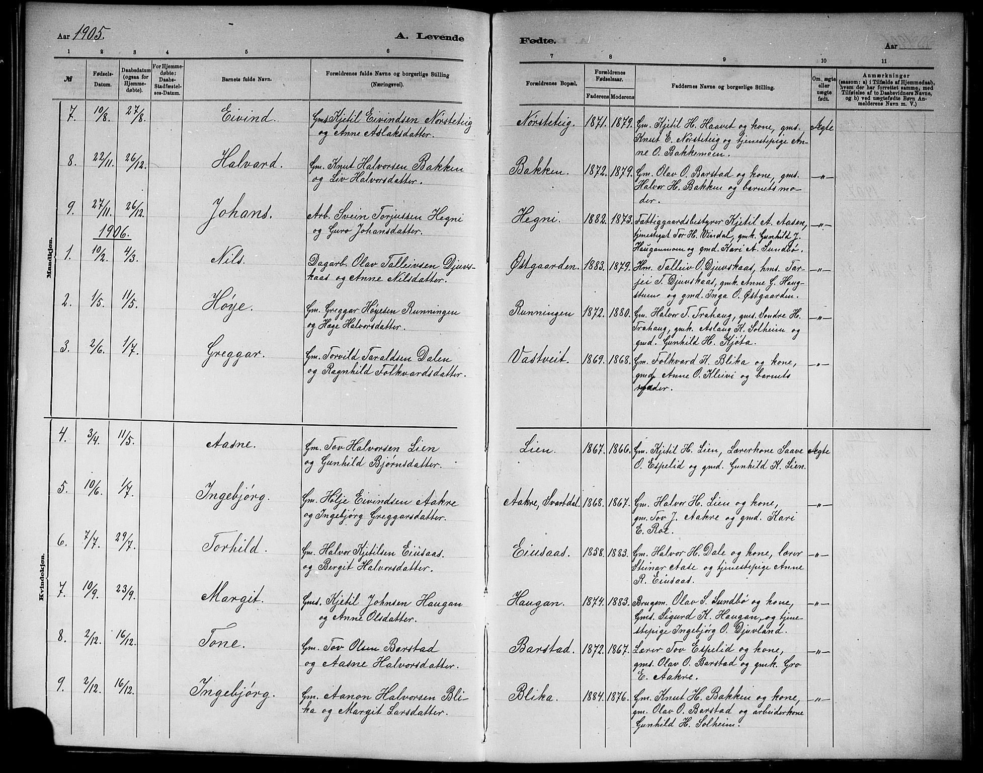 Seljord kirkebøker, SAKO/A-20/G/Gb/L0004: Parish register (copy) no. II 4, 1885-1921