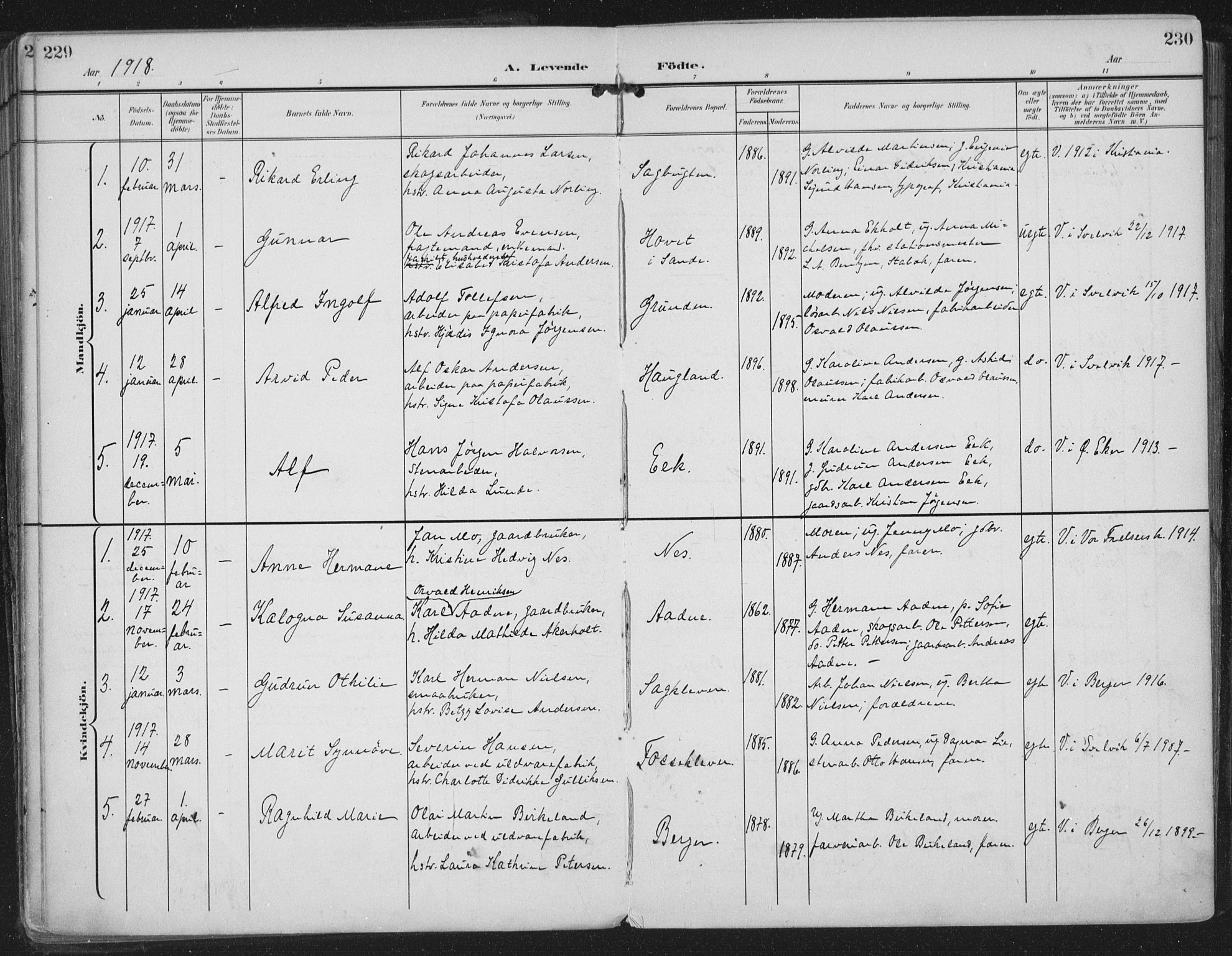 Strømm kirkebøker, AV/SAKO-A-322/F/Fa/L0005: Parish register (official) no. I 5, 1898-1919, p. 229-230