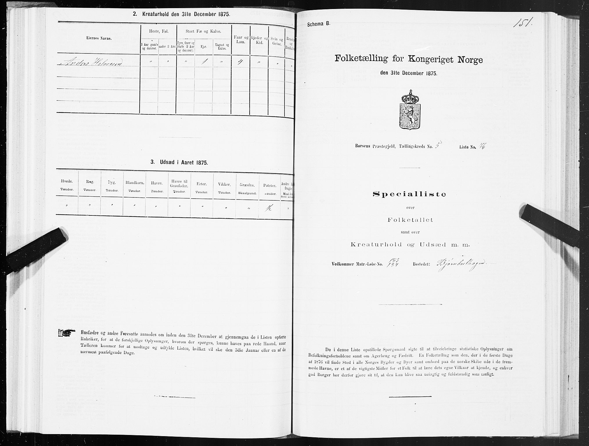 SAT, 1875 census for 1658P Børsa, 1875, p. 4151