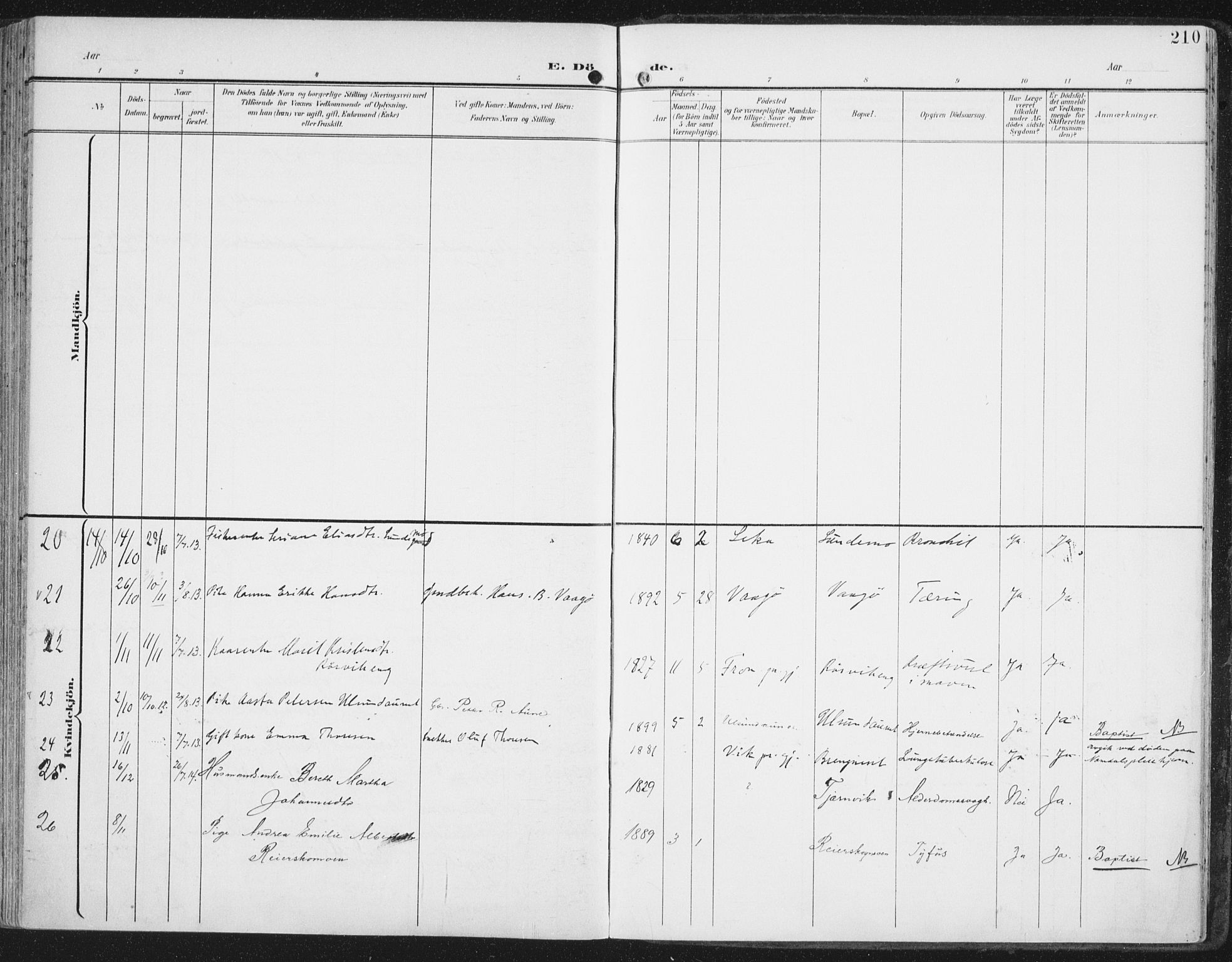 Ministerialprotokoller, klokkerbøker og fødselsregistre - Nord-Trøndelag, AV/SAT-A-1458/786/L0688: Parish register (official) no. 786A04, 1899-1912, p. 210