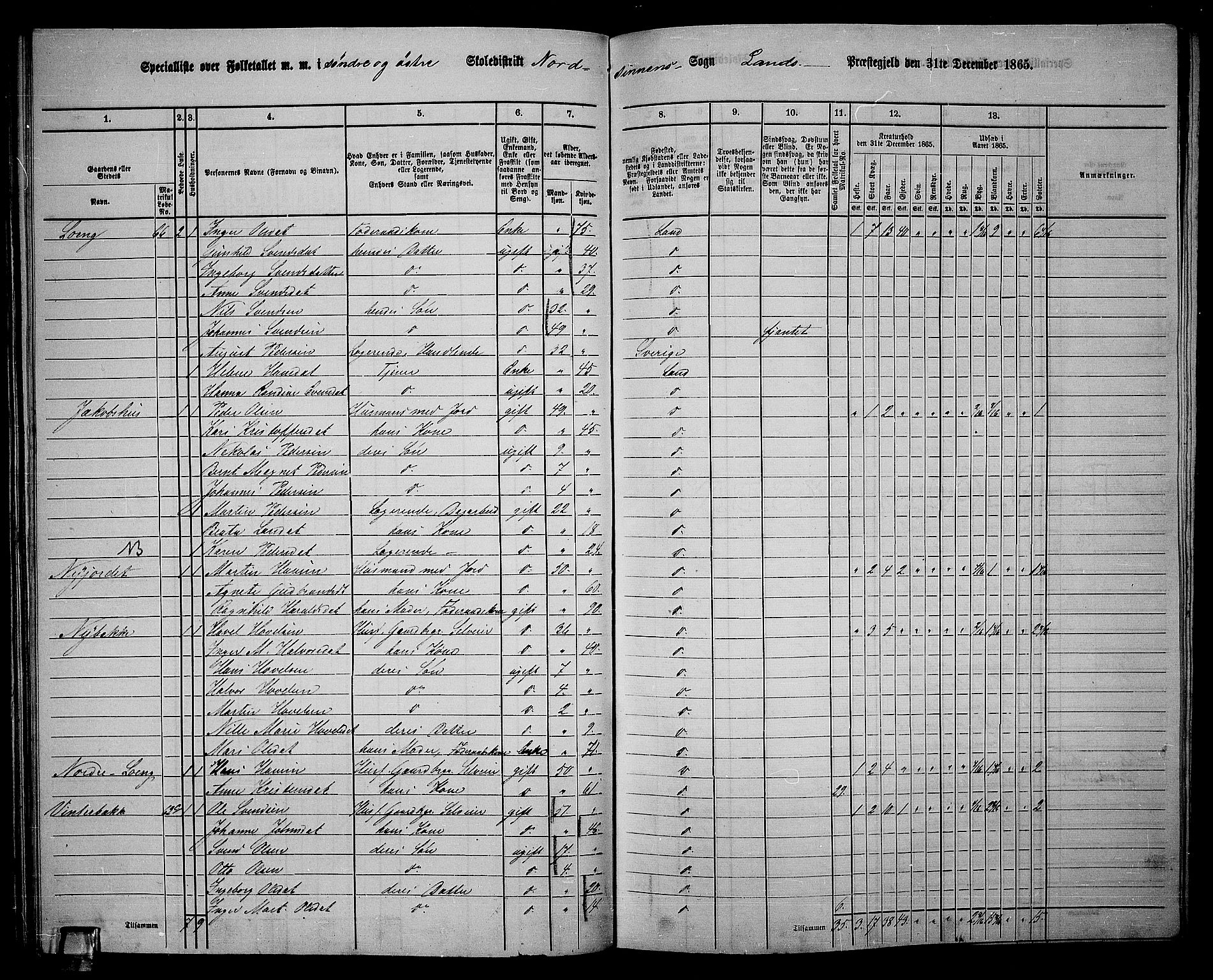 RA, 1865 census for Land, 1865, p. 67