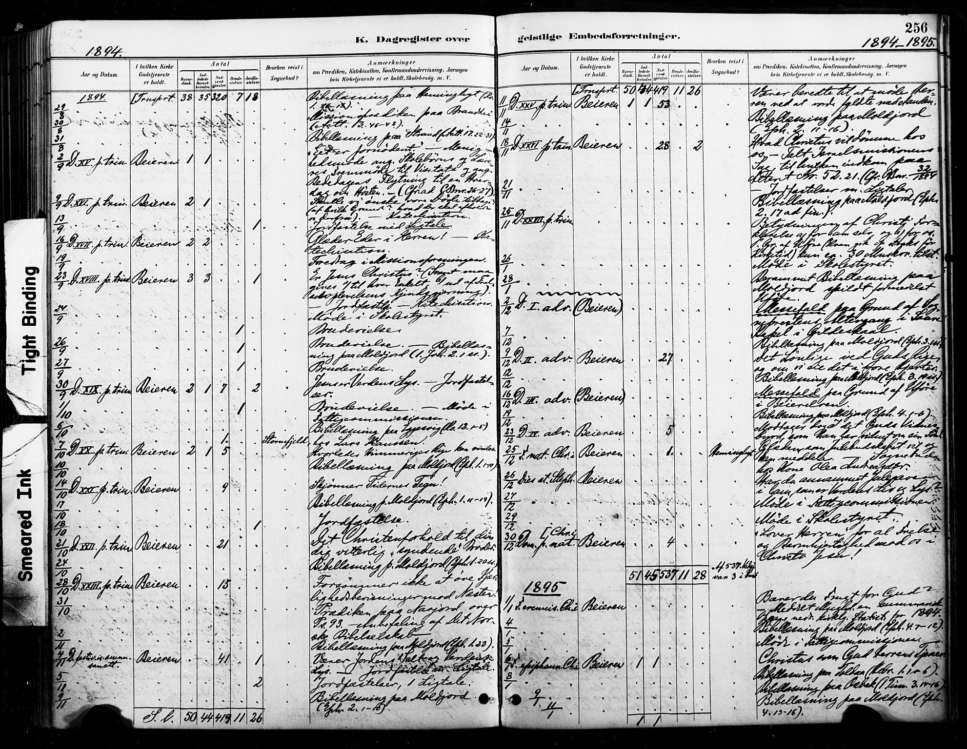 Ministerialprotokoller, klokkerbøker og fødselsregistre - Nordland, AV/SAT-A-1459/846/L0646: Parish register (official) no. 846A04, 1887-1901, p. 256