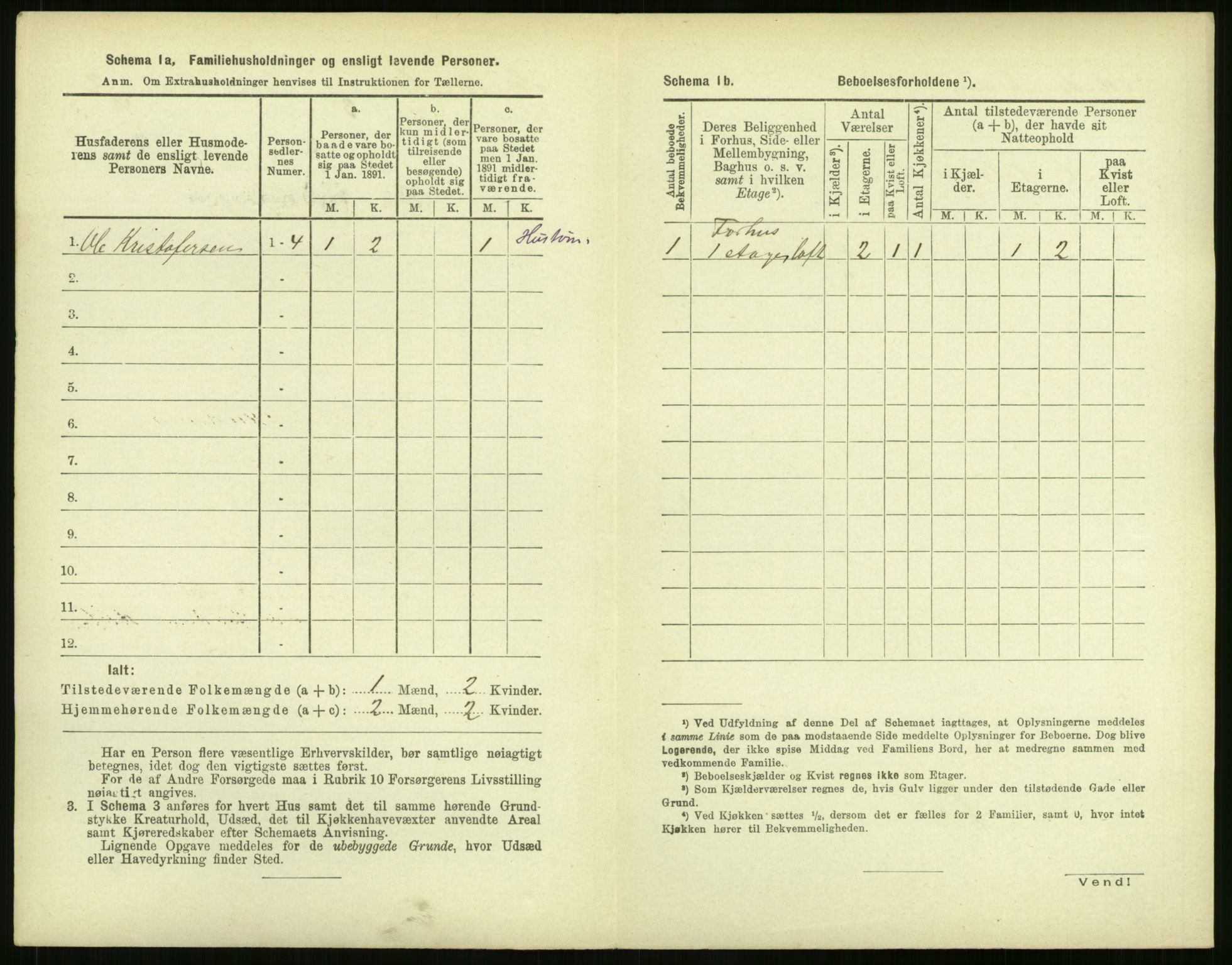 RA, 1891 census for 1104 Skudeneshavn, 1891, p. 195