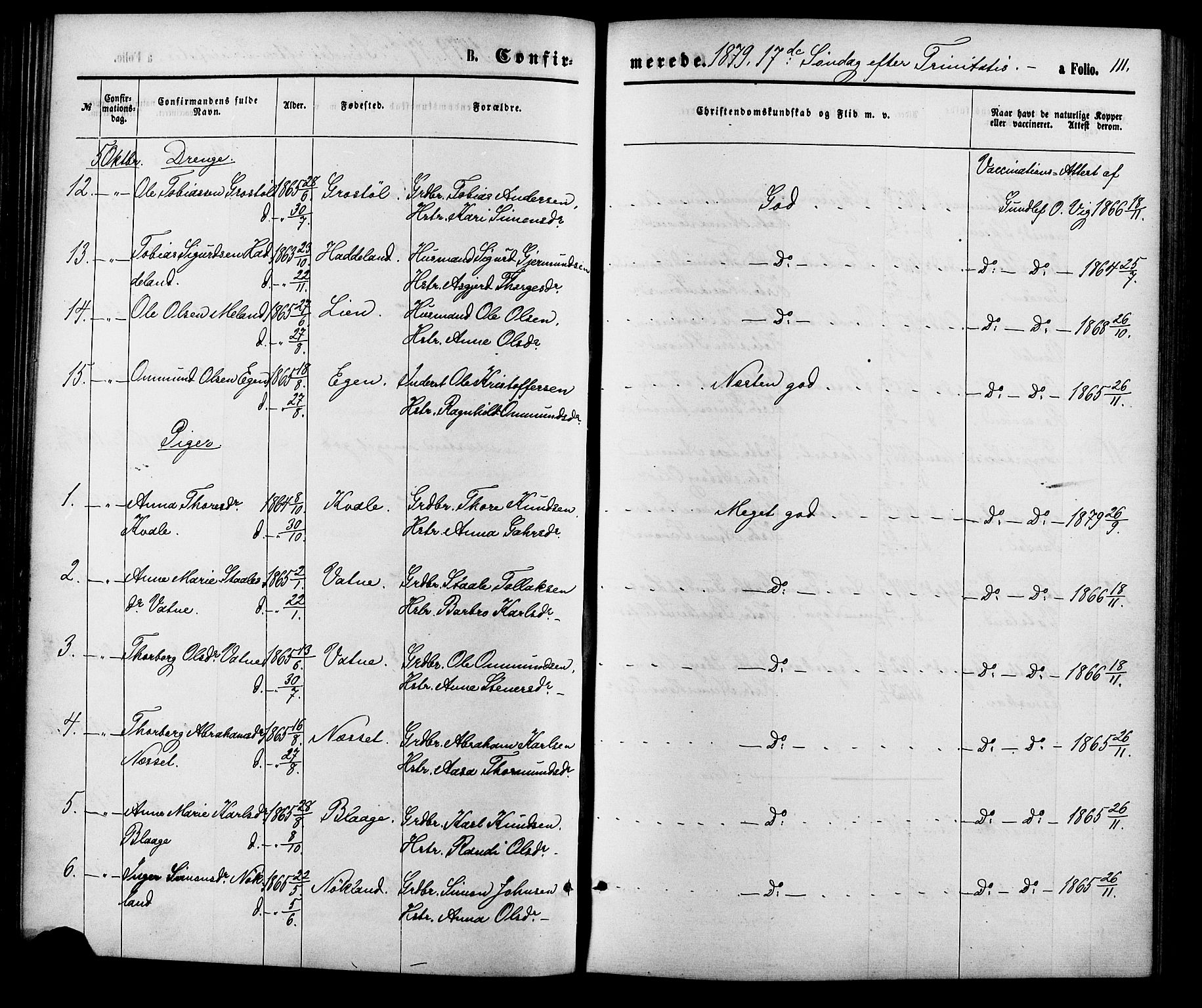 Hægebostad sokneprestkontor, AV/SAK-1111-0024/F/Fa/Fab/L0003: Parish register (official) no. A 3, 1872-1886, p. 111