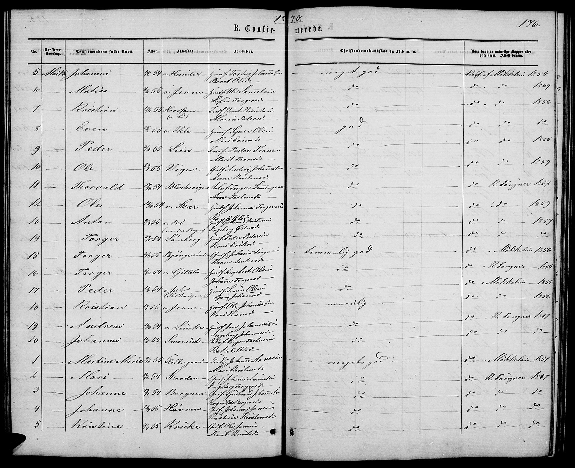 Øyer prestekontor, SAH/PREST-084/H/Ha/Hab/L0001: Parish register (copy) no. 1, 1863-1877, p. 176