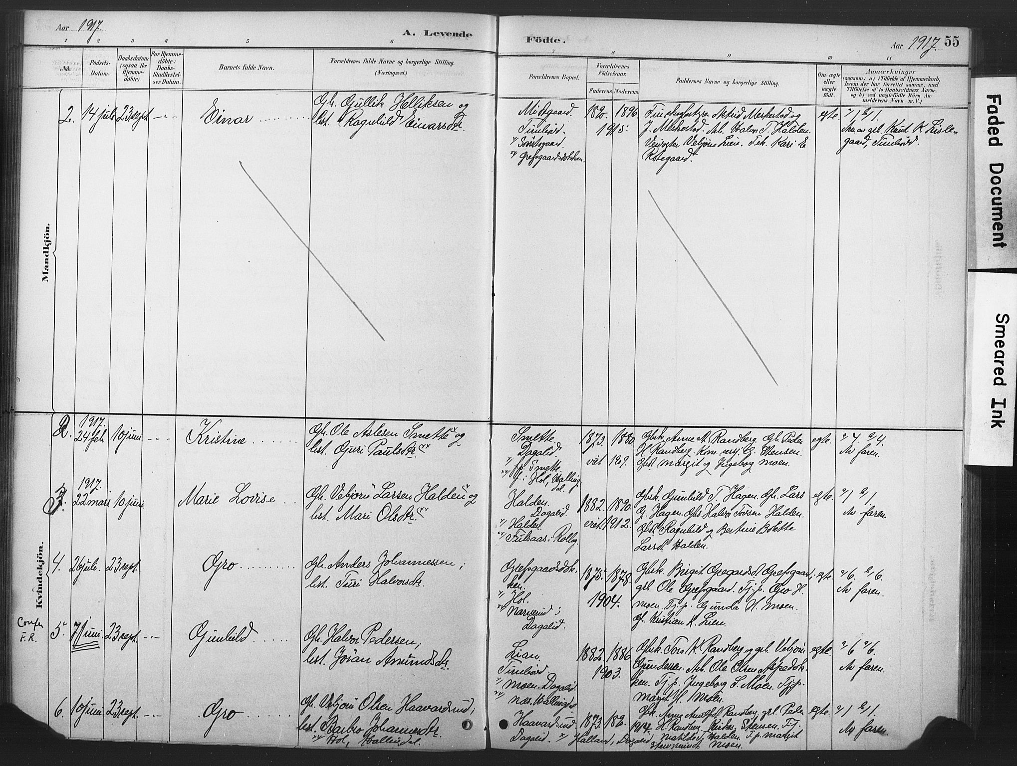 Nore kirkebøker, SAKO/A-238/F/Fd/L0001: Parish register (official) no. IV 1, 1878-1918, p. 55