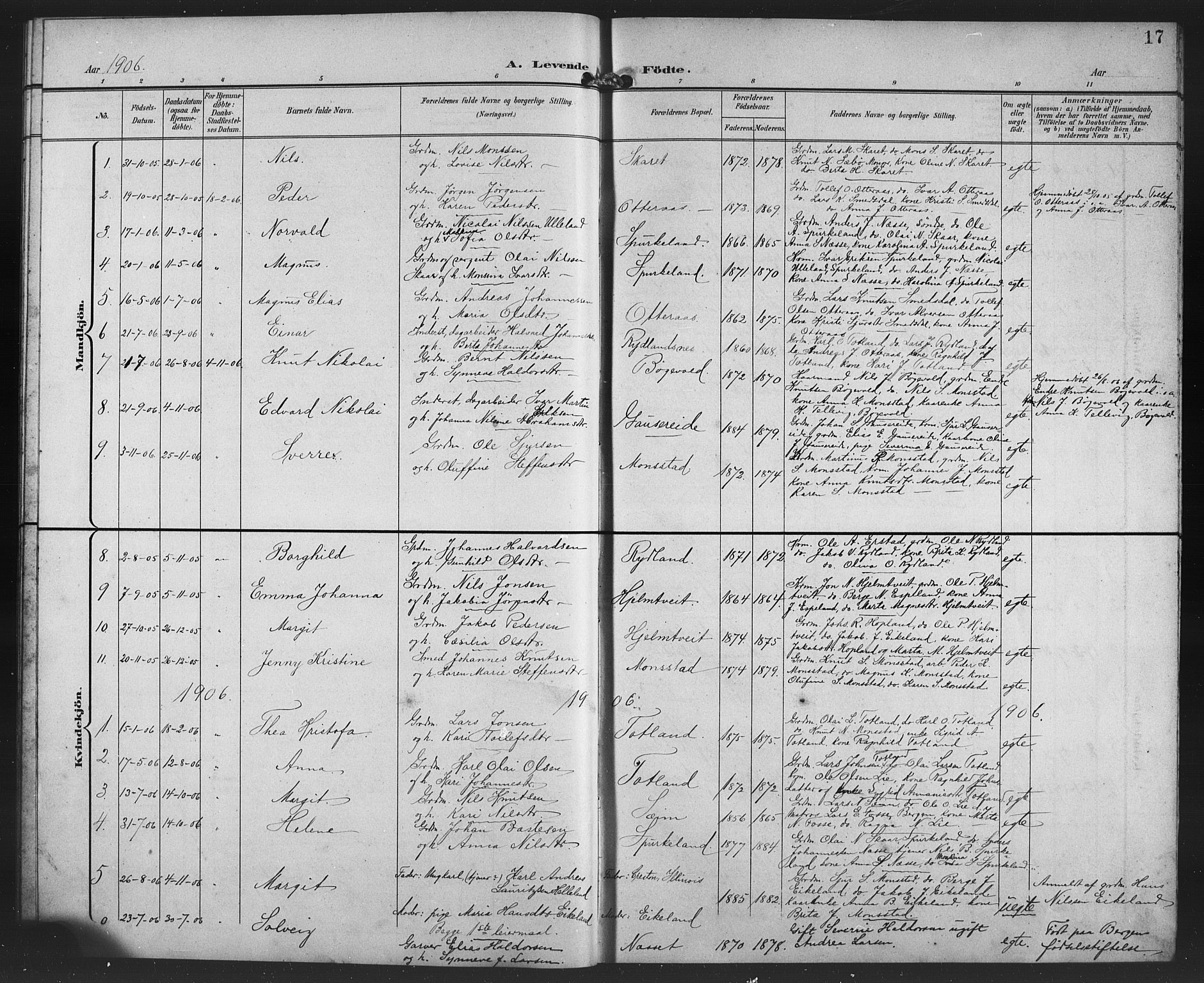 Alversund Sokneprestembete, SAB/A-73901/H/Ha/Haa/Haad/L0003: Parish register (official) no. D 3, 1899-1908, p. 17