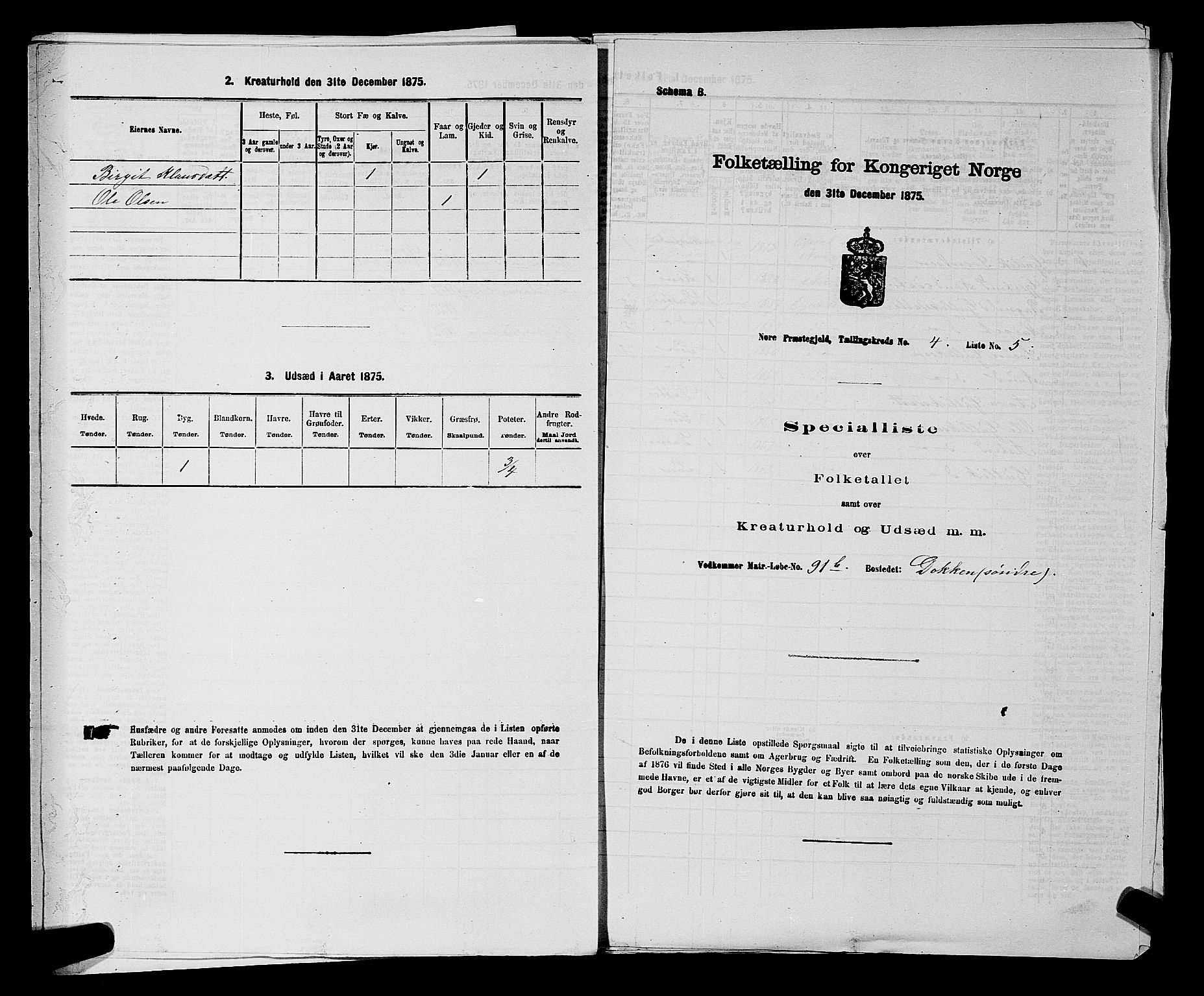 SAKO, 1875 census for 0633P Nore, 1875, p. 610