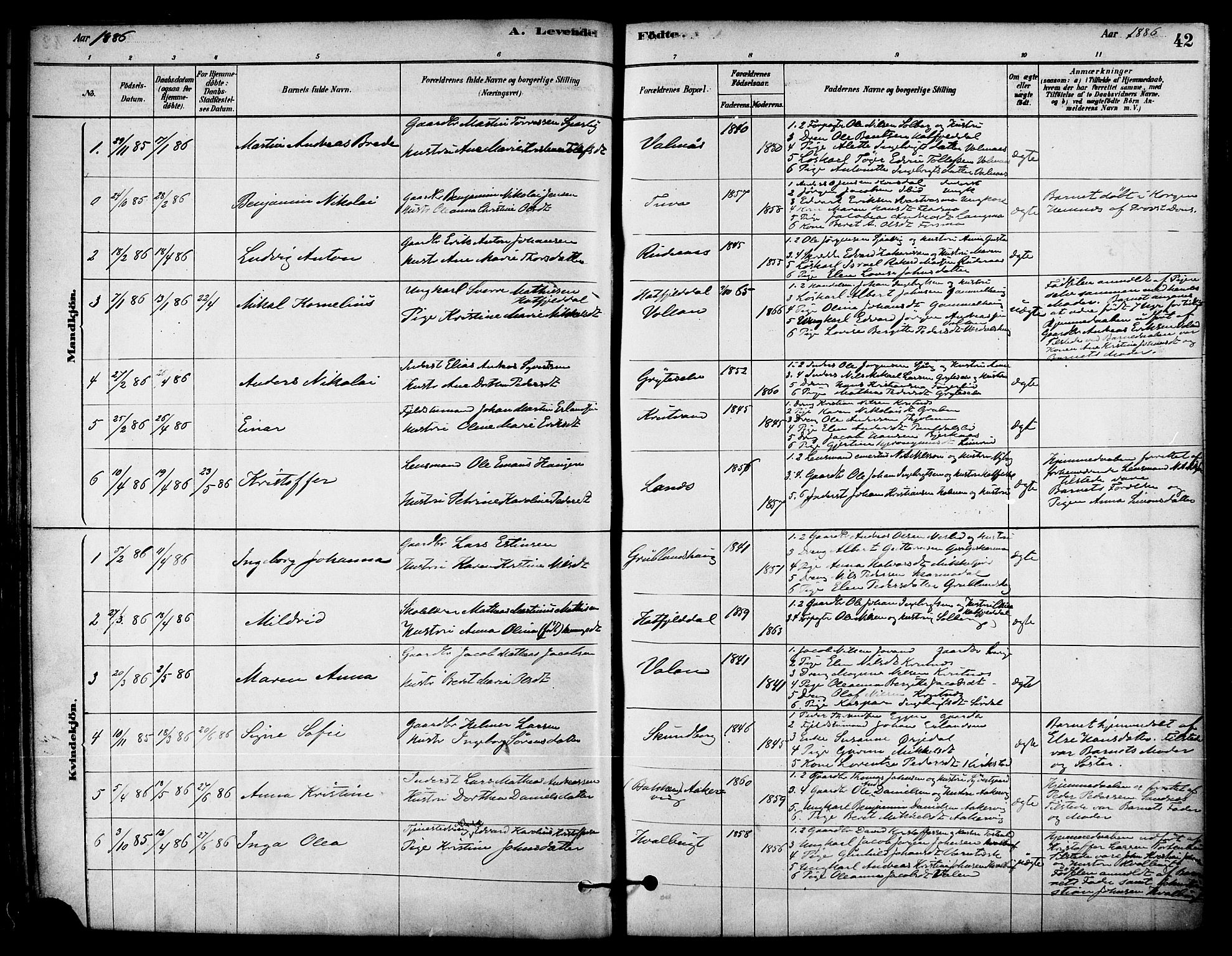 Ministerialprotokoller, klokkerbøker og fødselsregistre - Nordland, AV/SAT-A-1459/823/L0325: Parish register (official) no. 823A02, 1878-1898, p. 42