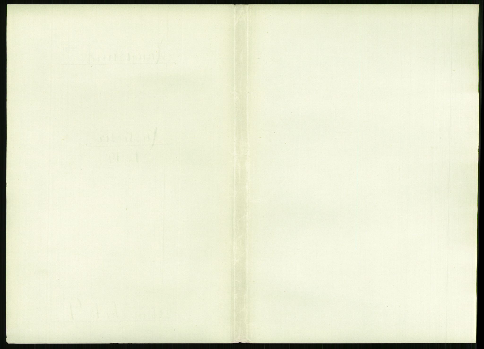 RA, 1891 census for 1106 Haugesund, 1891, p. 642