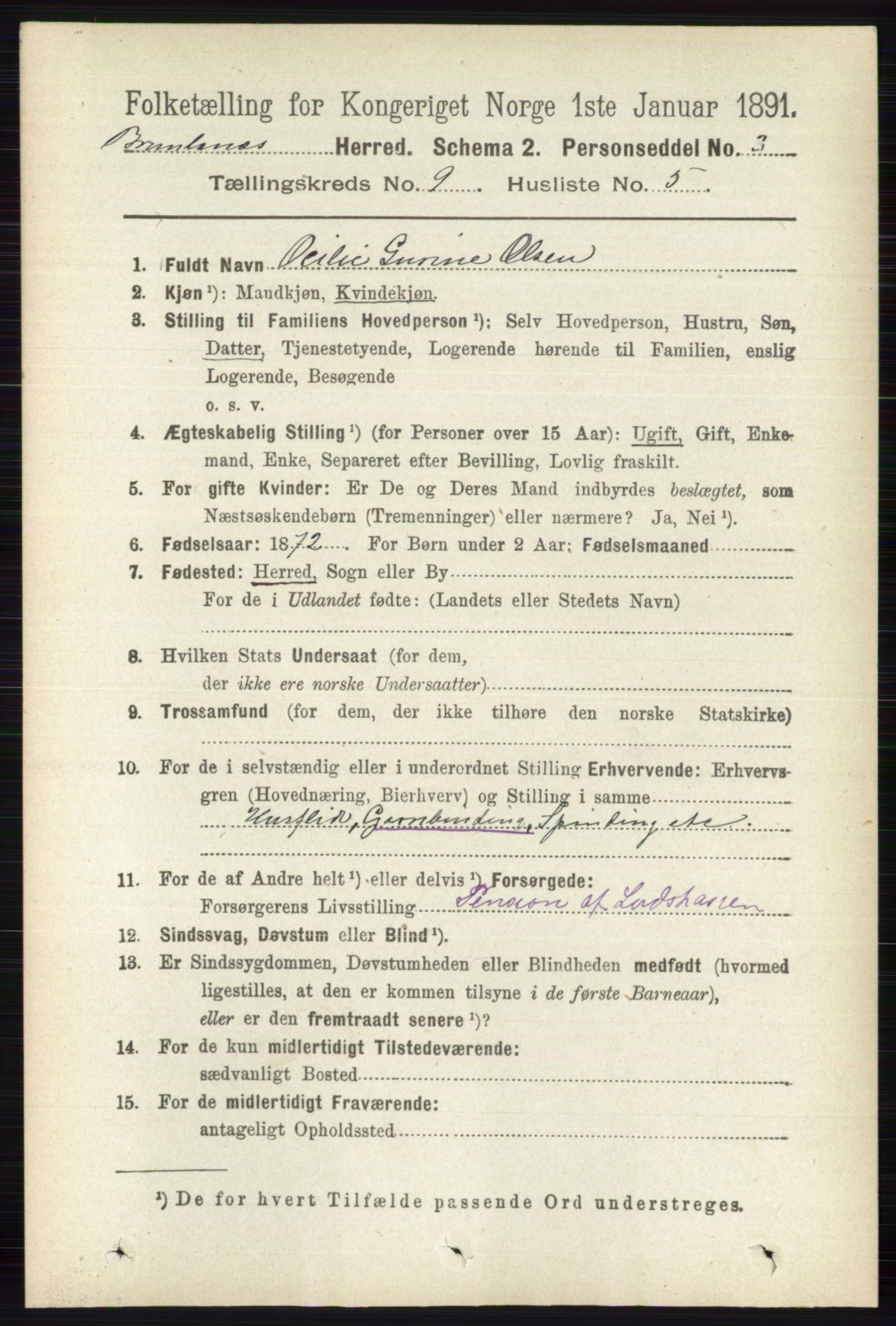 RA, 1891 census for 0726 Brunlanes, 1891, p. 4155