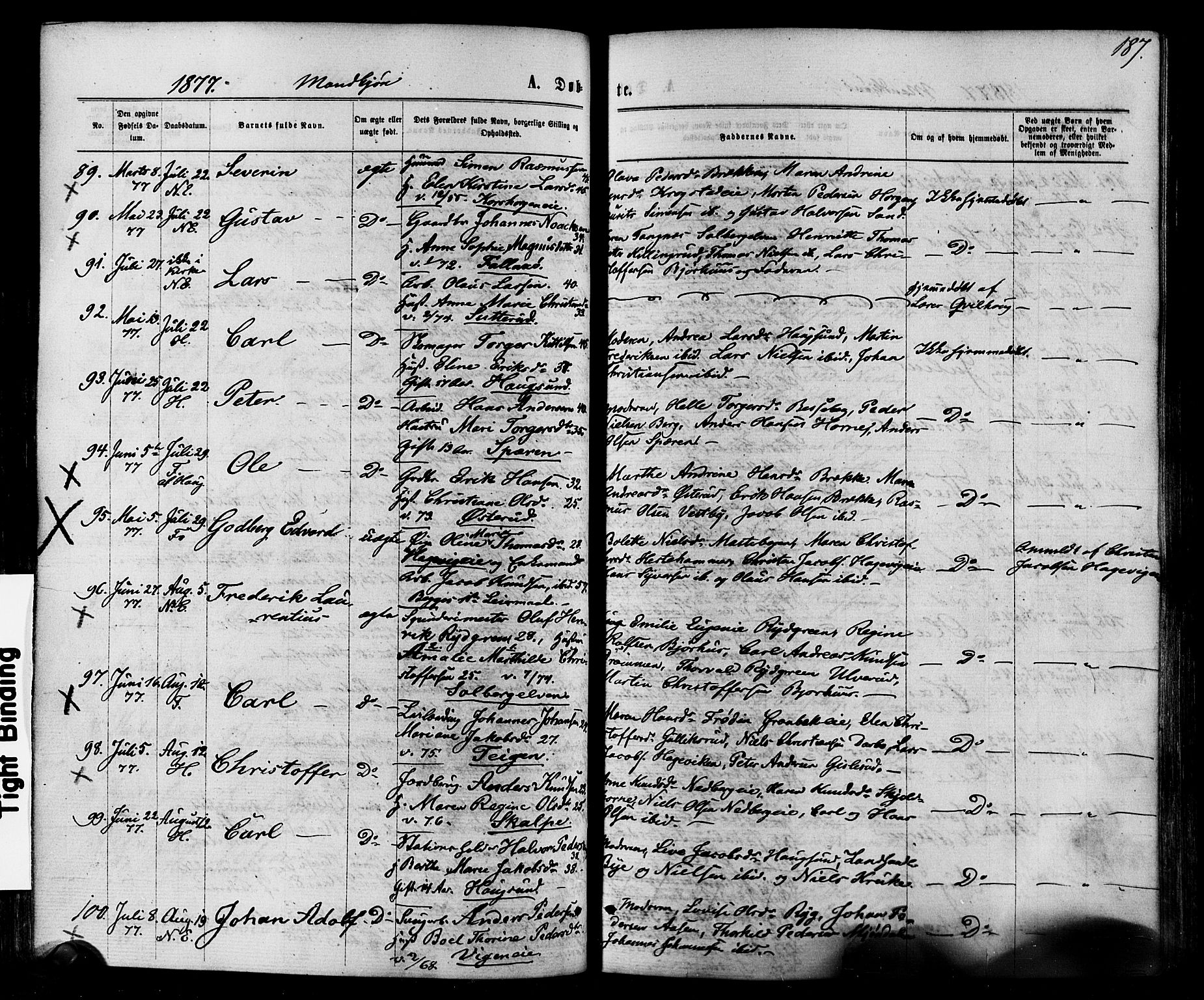 Eiker kirkebøker, AV/SAKO-A-4/F/Fa/L0017: Parish register (official) no. I 17, 1869-1877, p. 187